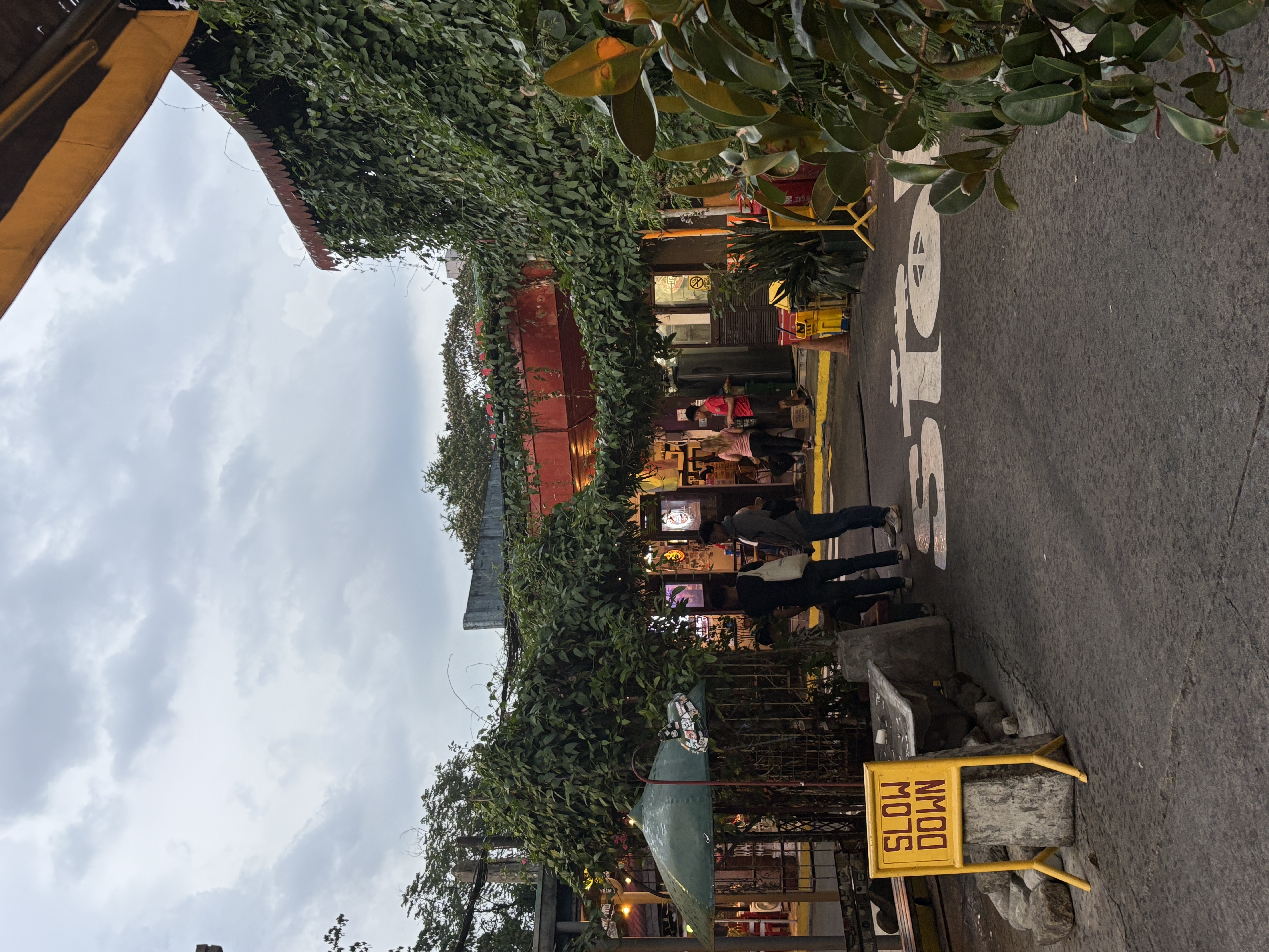 IMG_3277.jpeg