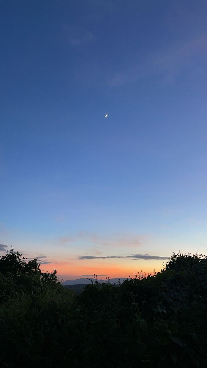 IMG_1282.jpeg