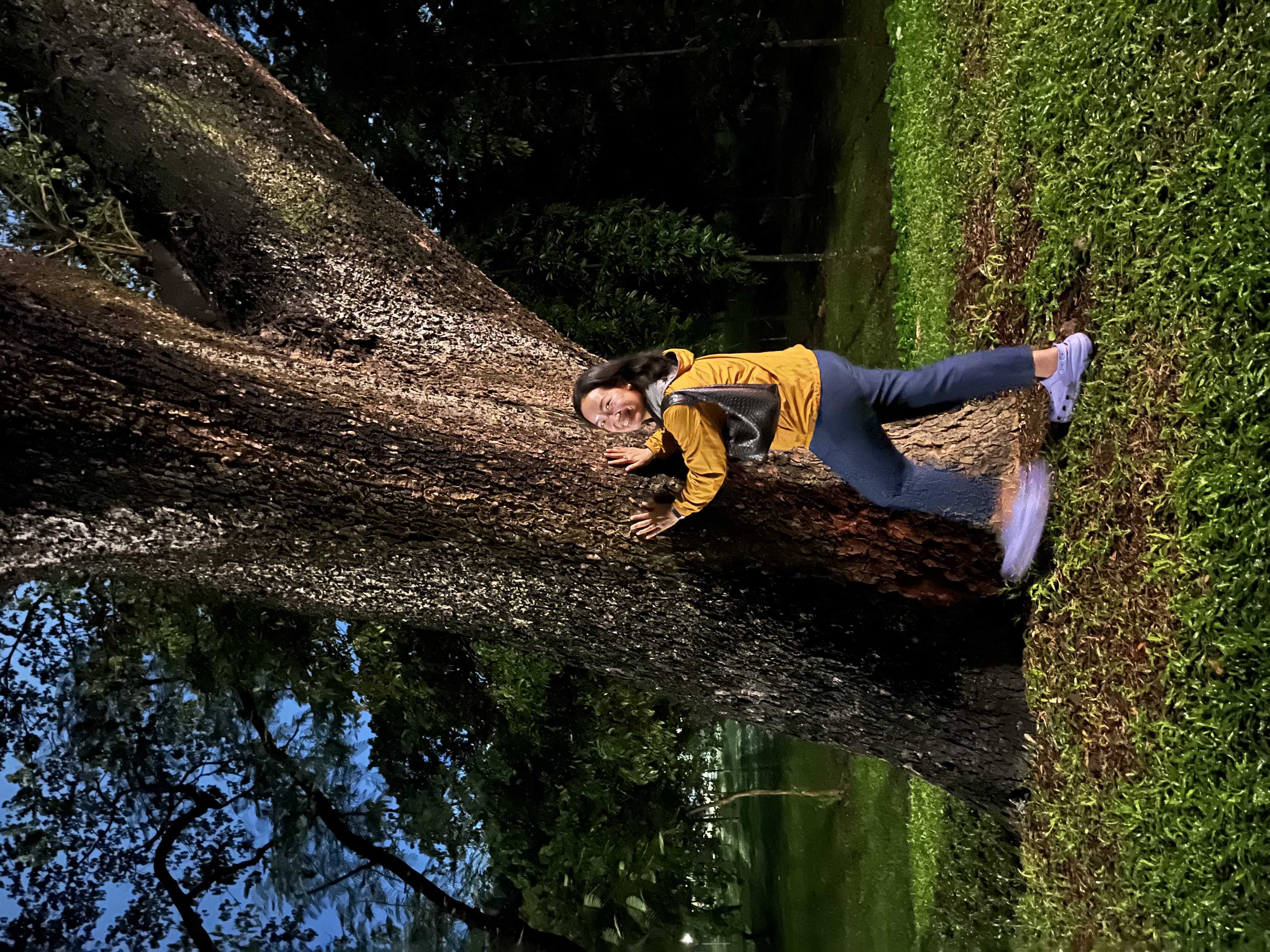 D8A264B1-6B68-4F58-A169-8886DCA7247C.jpeg