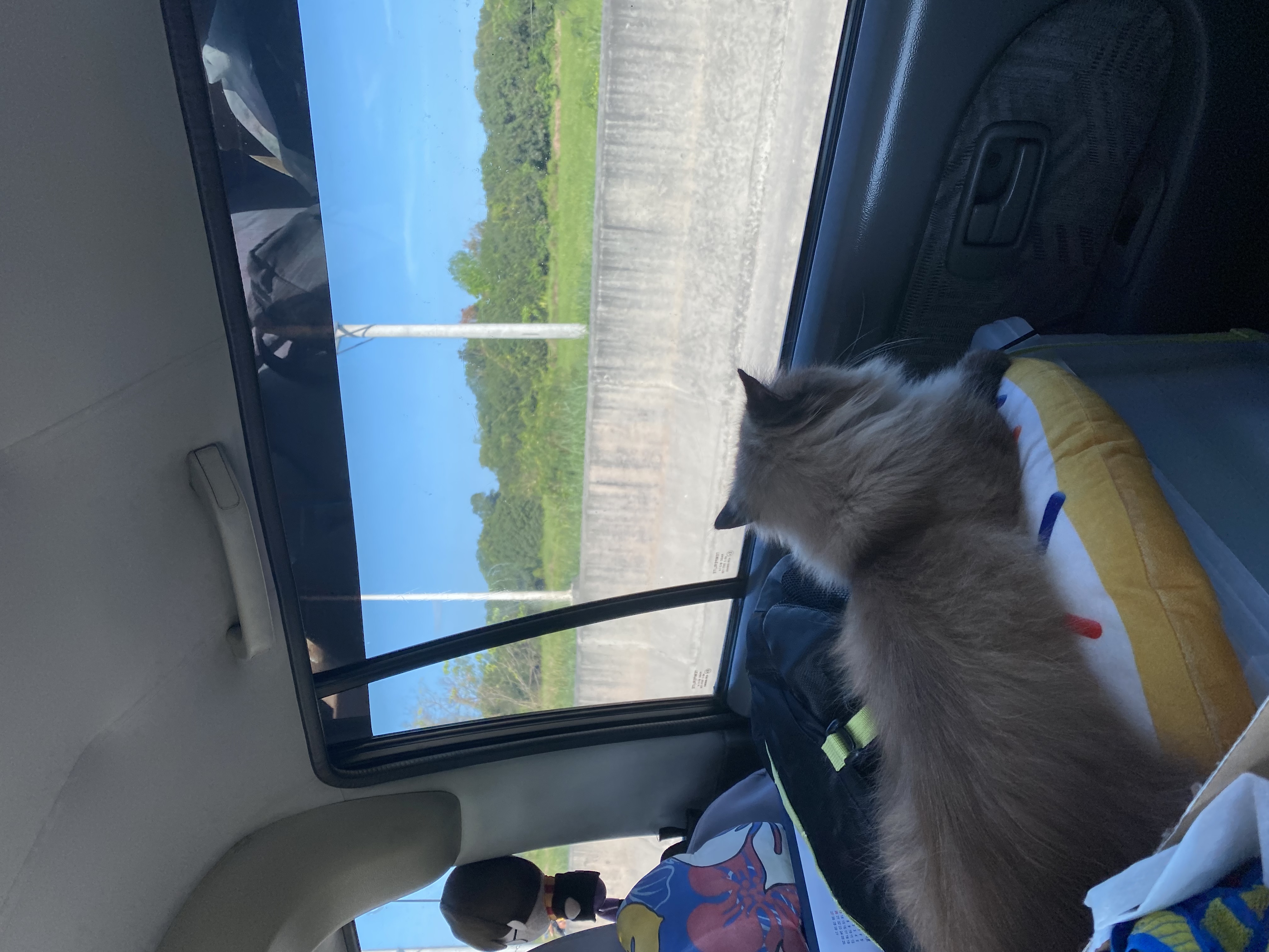 AFF59098-F7D6-4D72-AE1B-11115E3E083F.jpeg