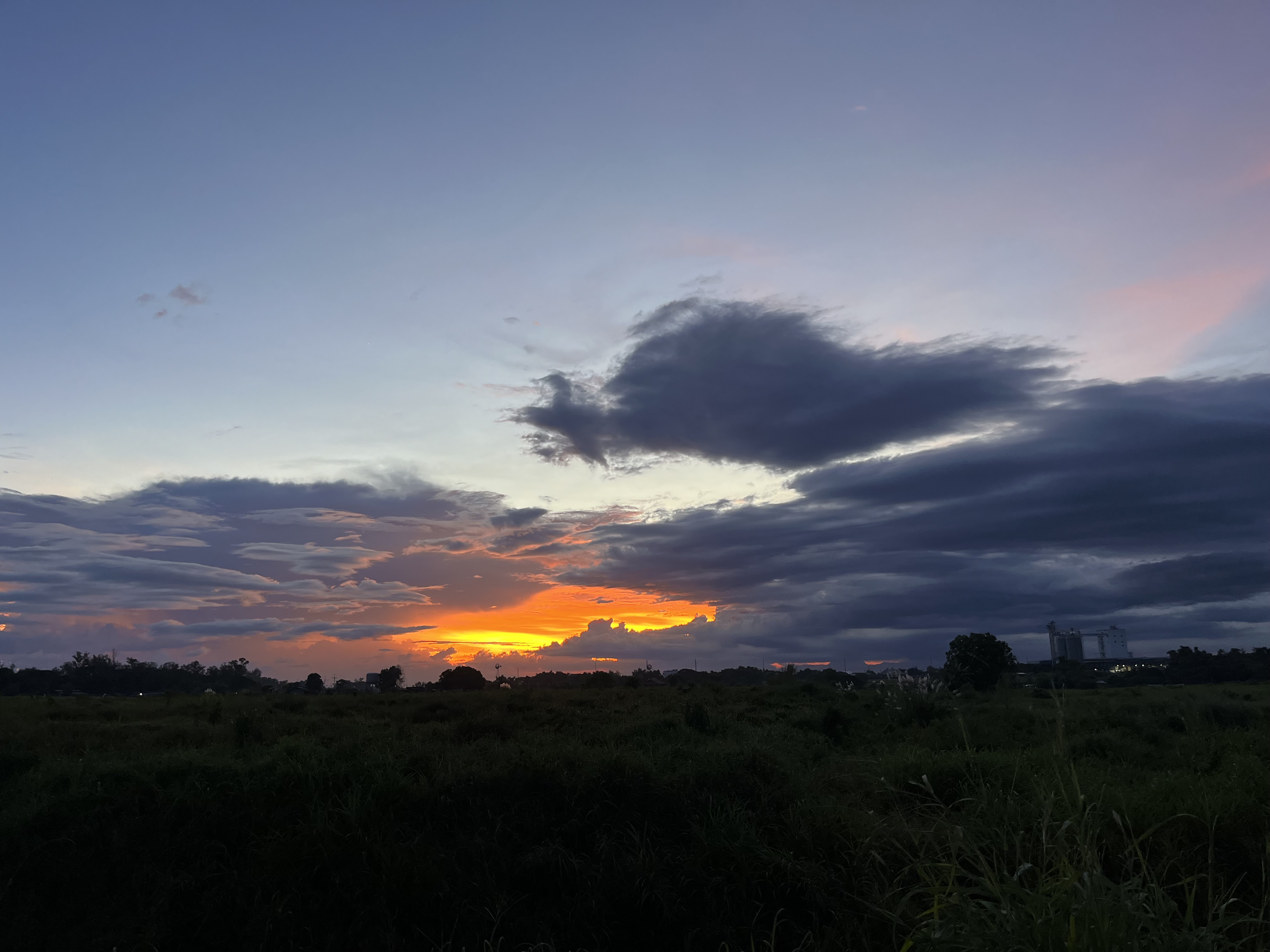 IMG_1039.jpeg