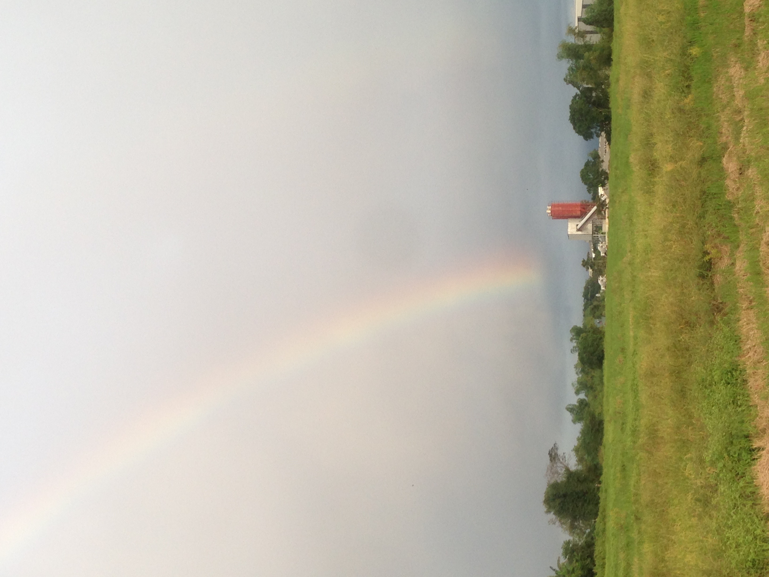IMG_3143.jpeg