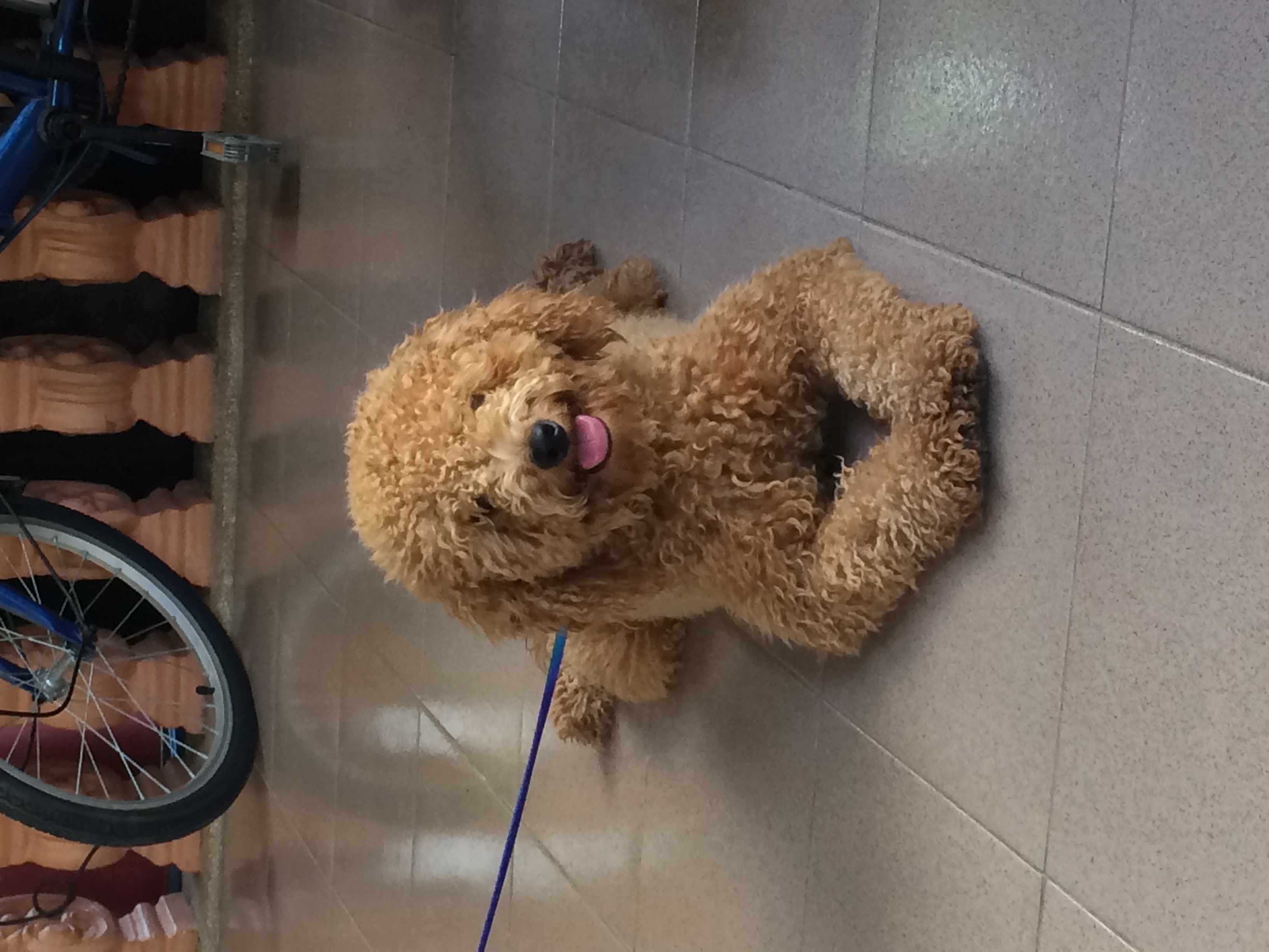 IMG_0683.jpeg