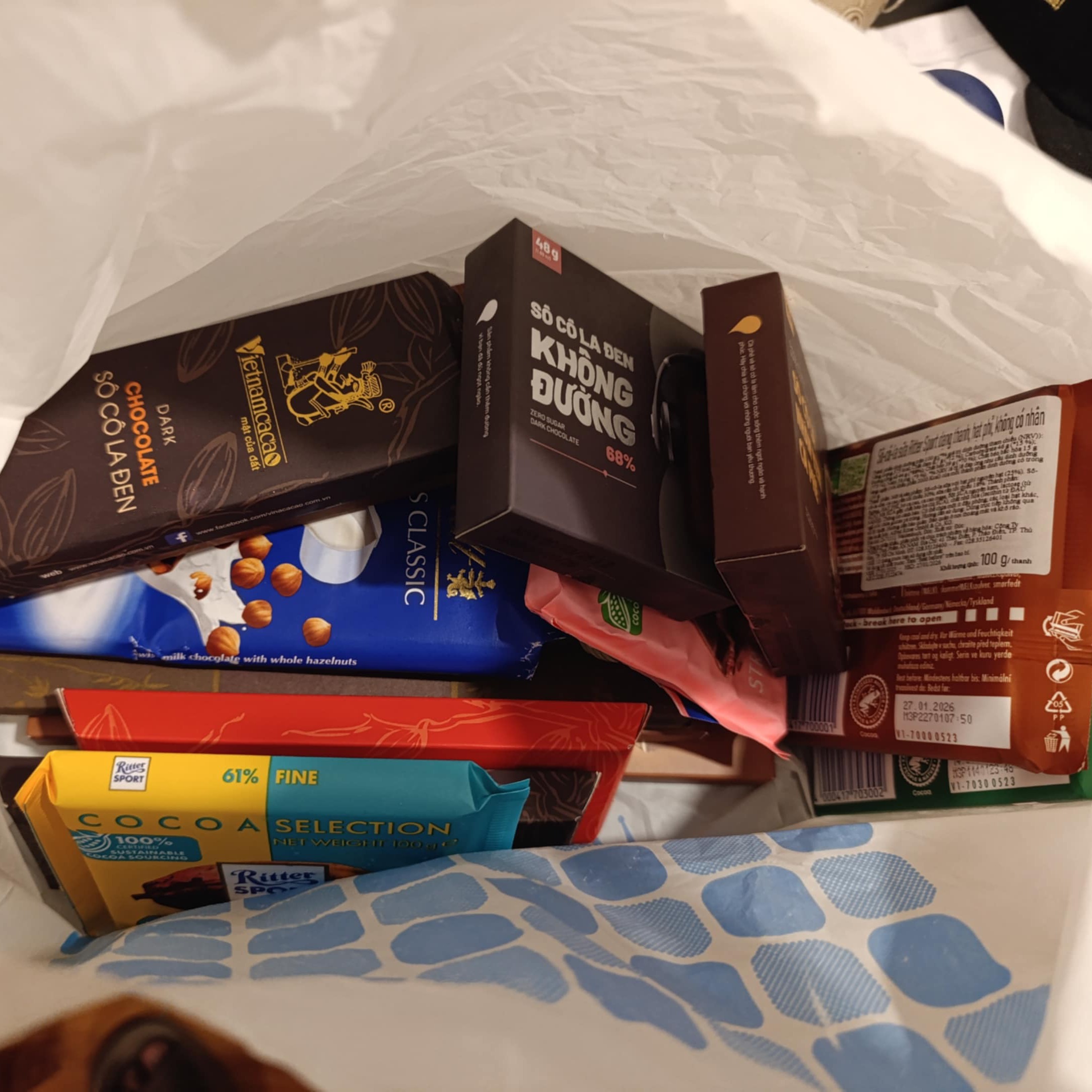 rayover_2025-07-24T07:17:15.734Z