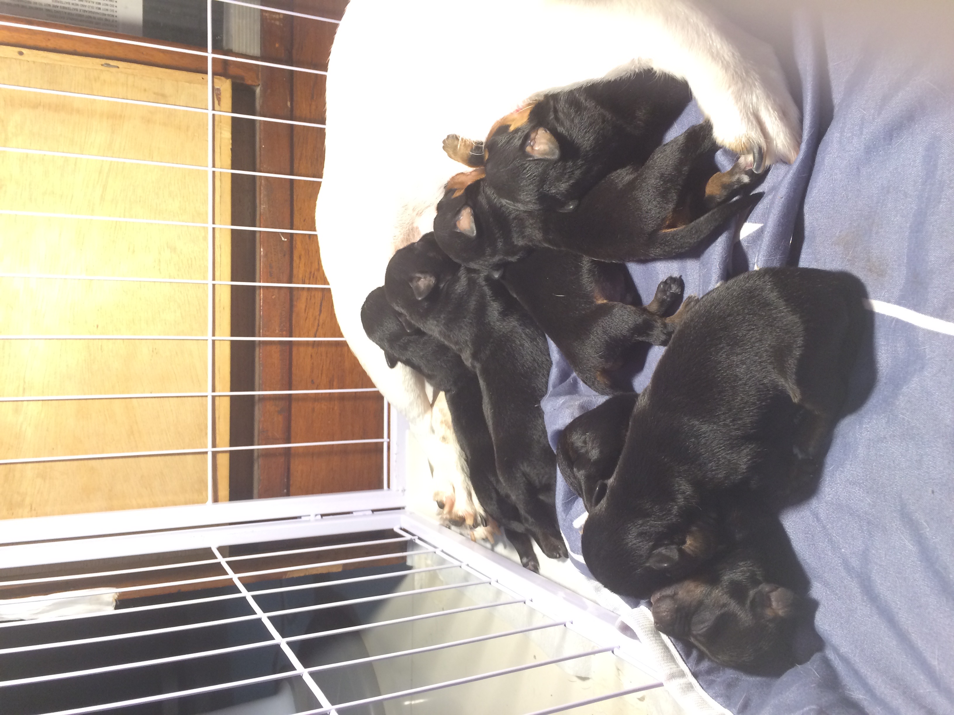IMG_0640.jpeg