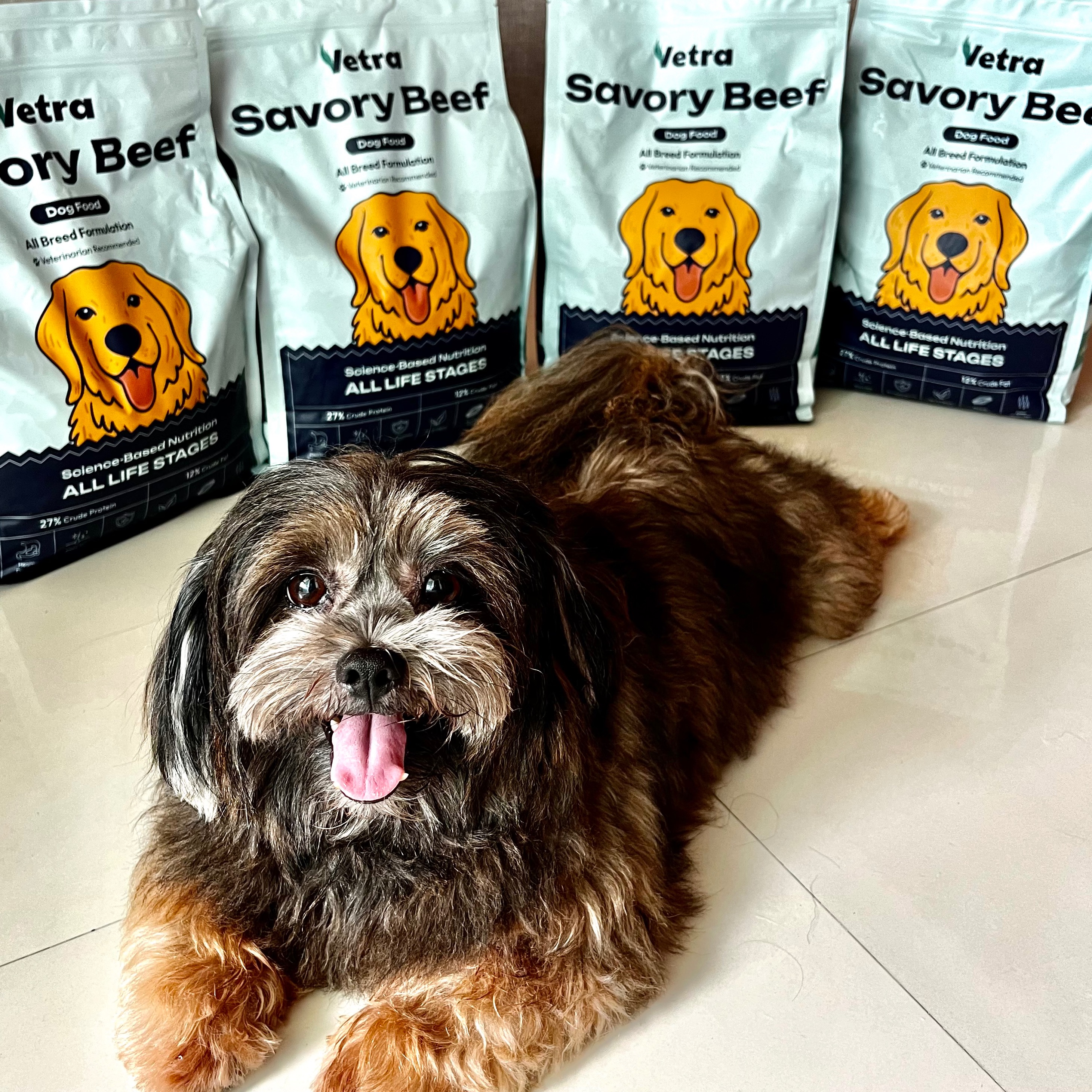 rayover_2025-07-29T06:56:06.149Z