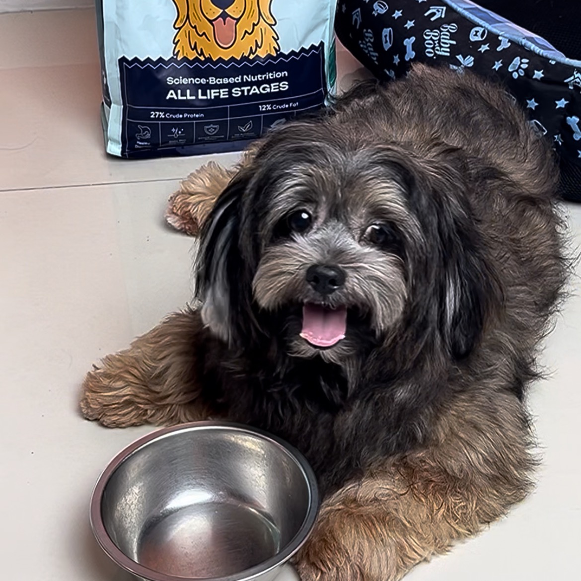 rayover_2025-07-29T06:56:16.677Z