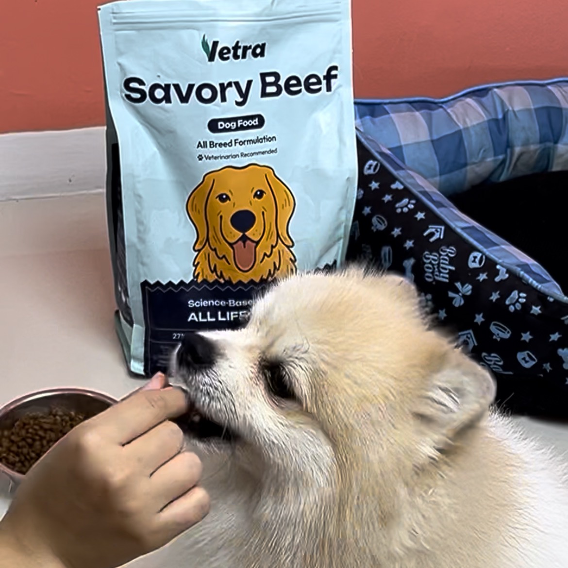 rayover_2025-07-29T06:56:23.347Z