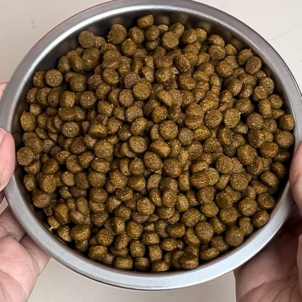 rayover_2025-07-29T06:56:30.643Z