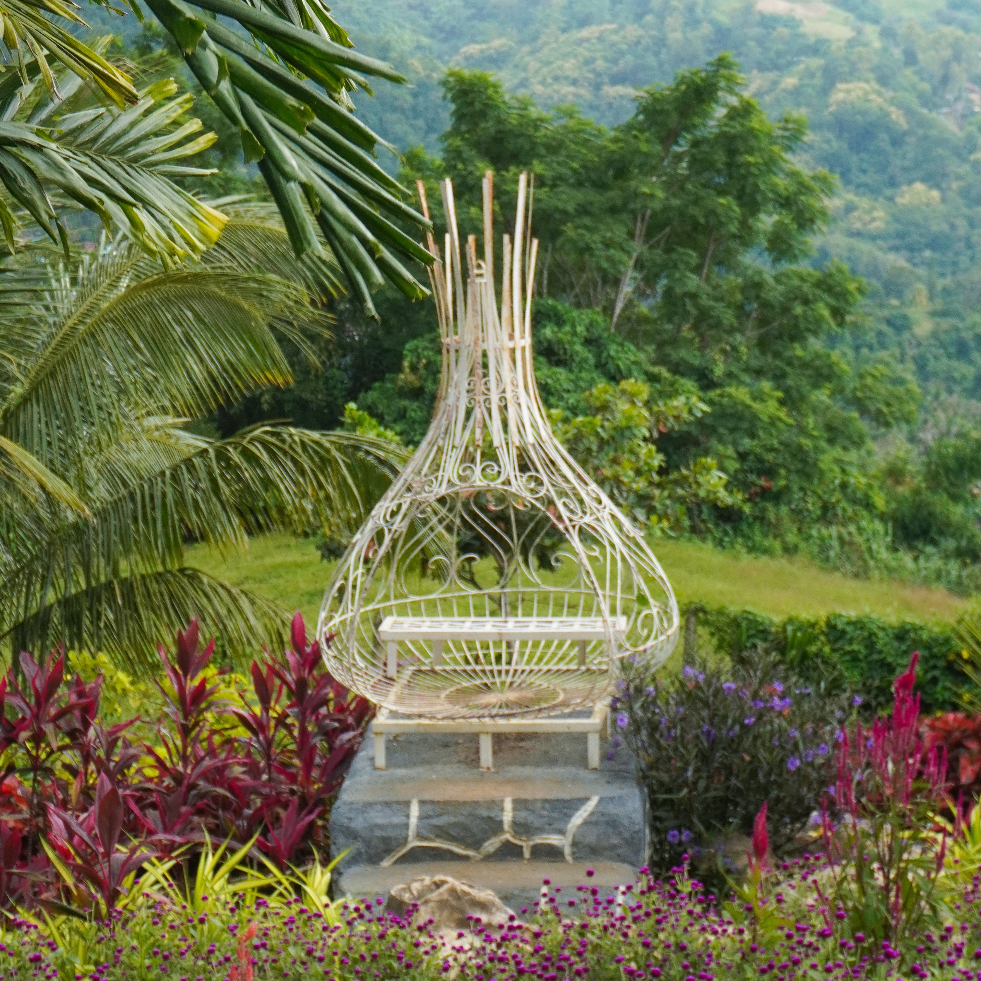 rayover_2025-07-29T10:13:43.037Z