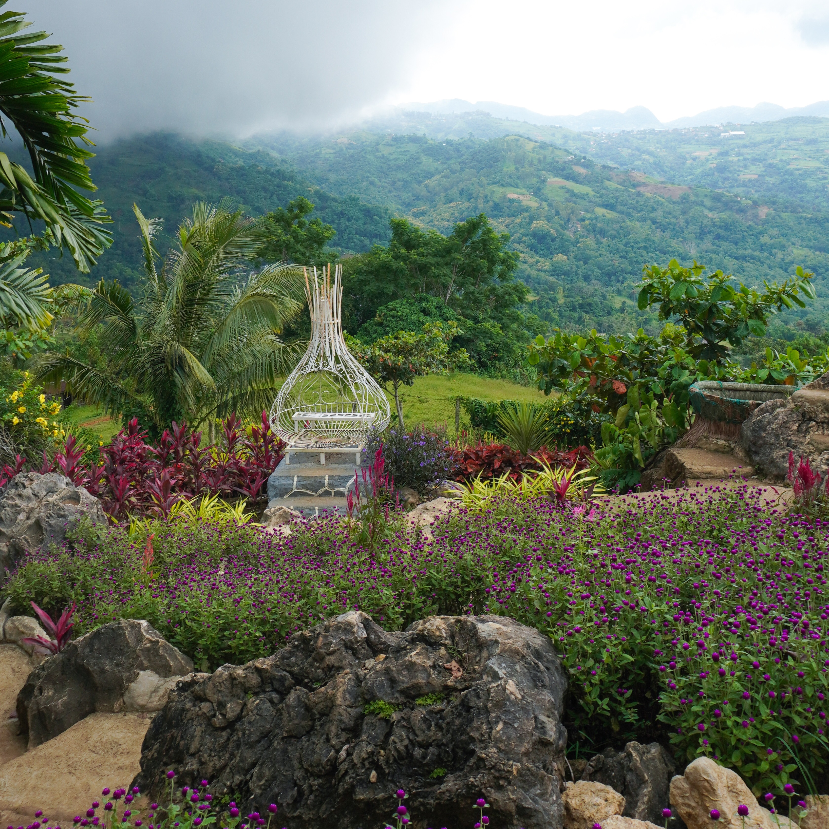 rayover_2025-07-29T10:14:48.364Z