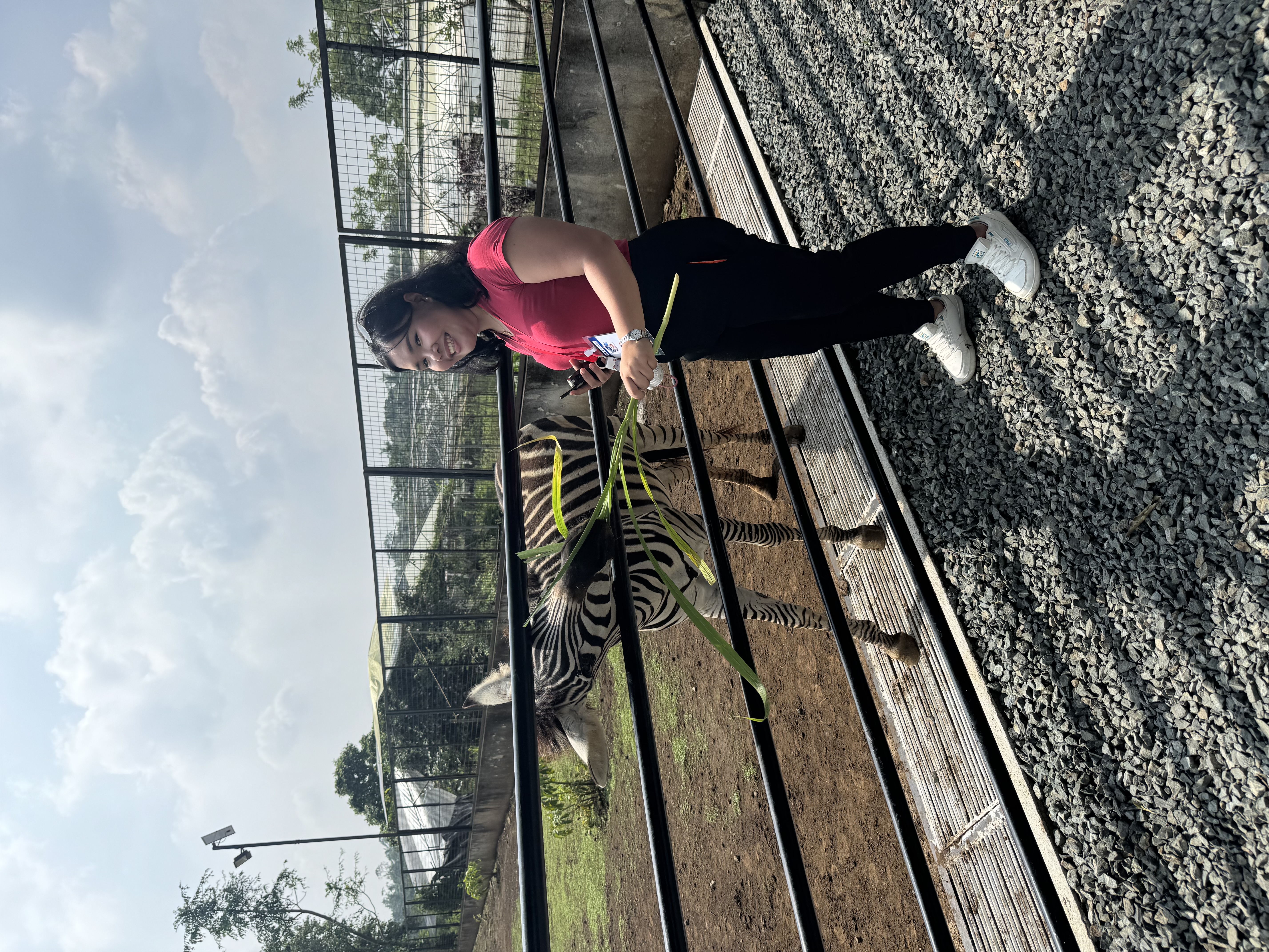 IMG_7079.jpeg
