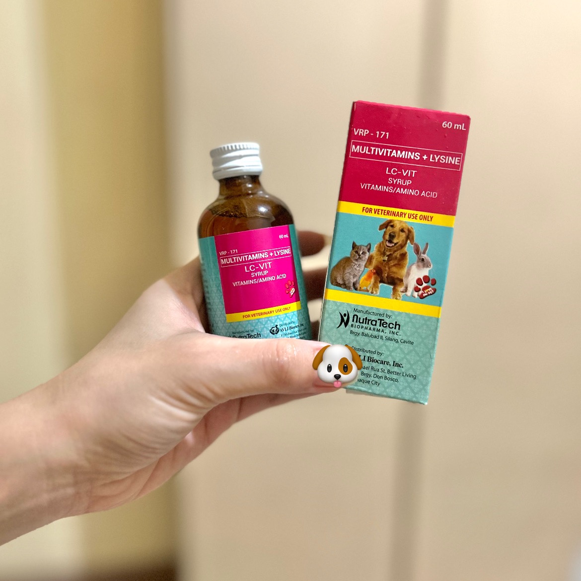 rayover_2025-07-30T15:00:40.887Z