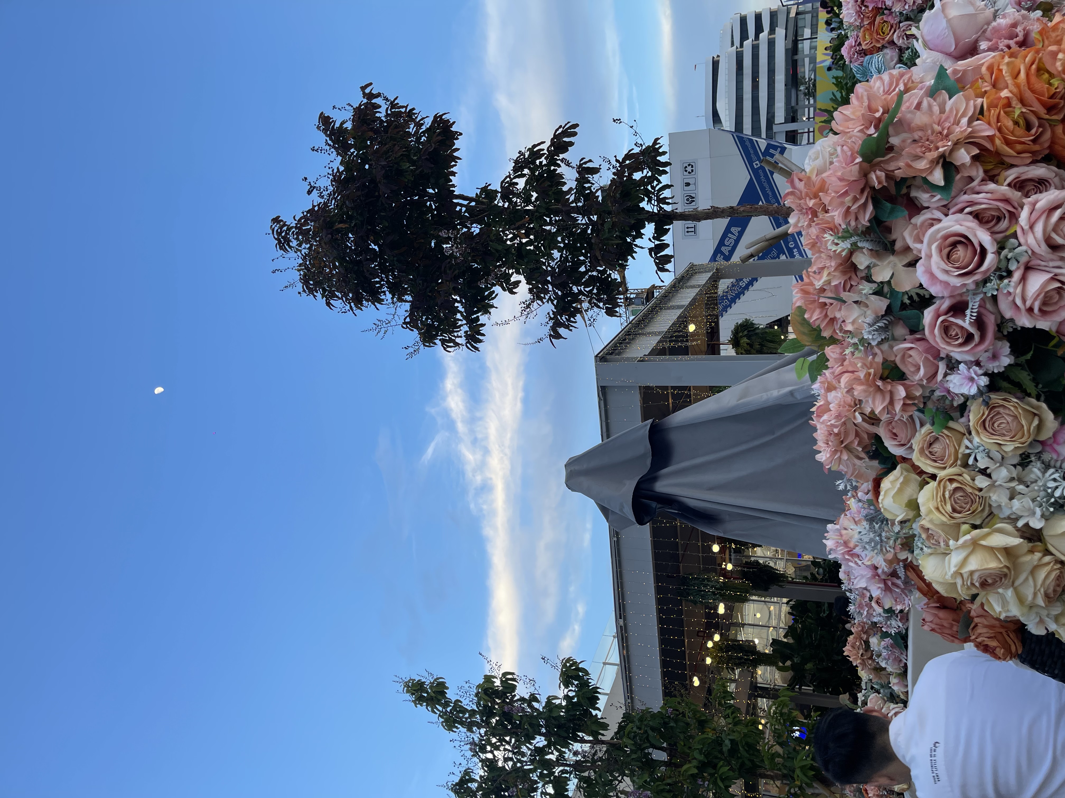 IMG_4309.jpeg