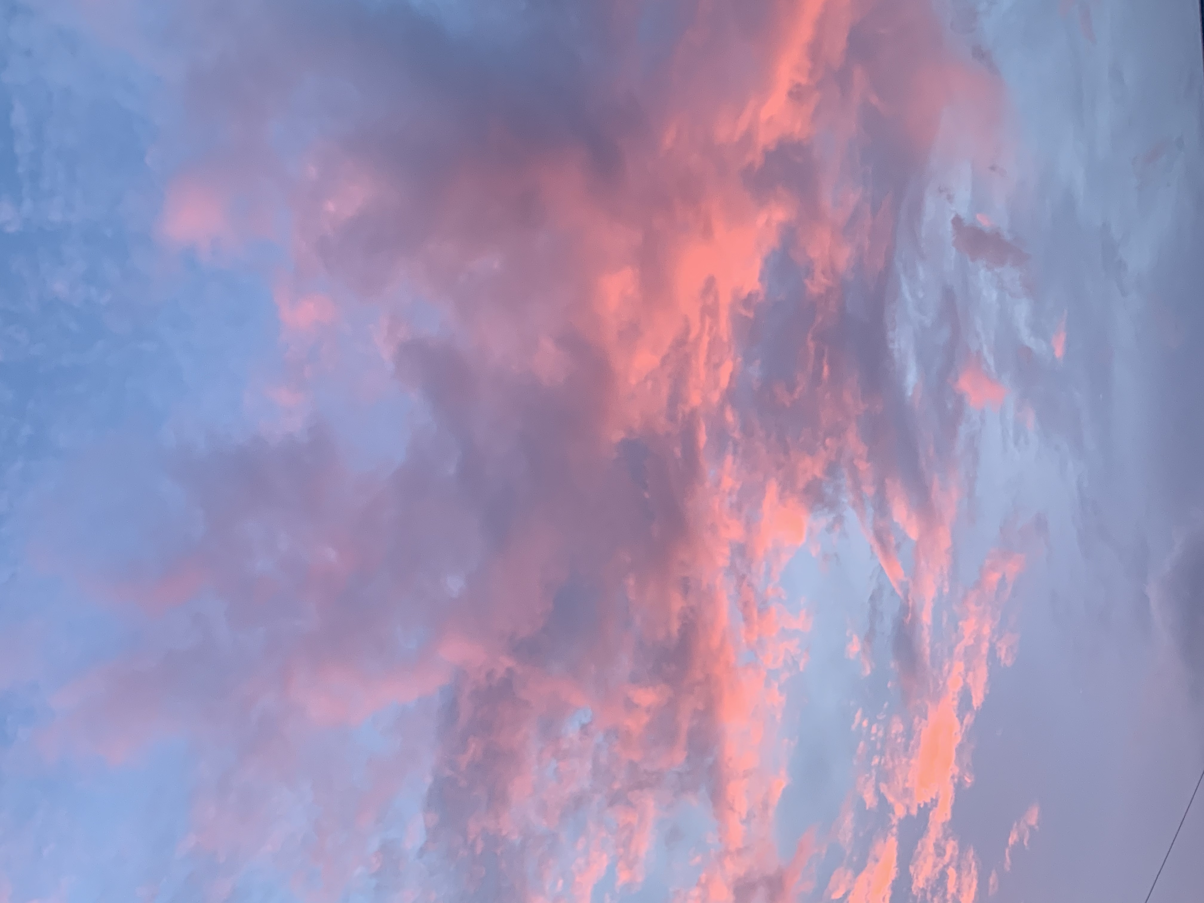 54C3F22A-E8B3-4589-8A0F-1DBB3135006D.jpeg