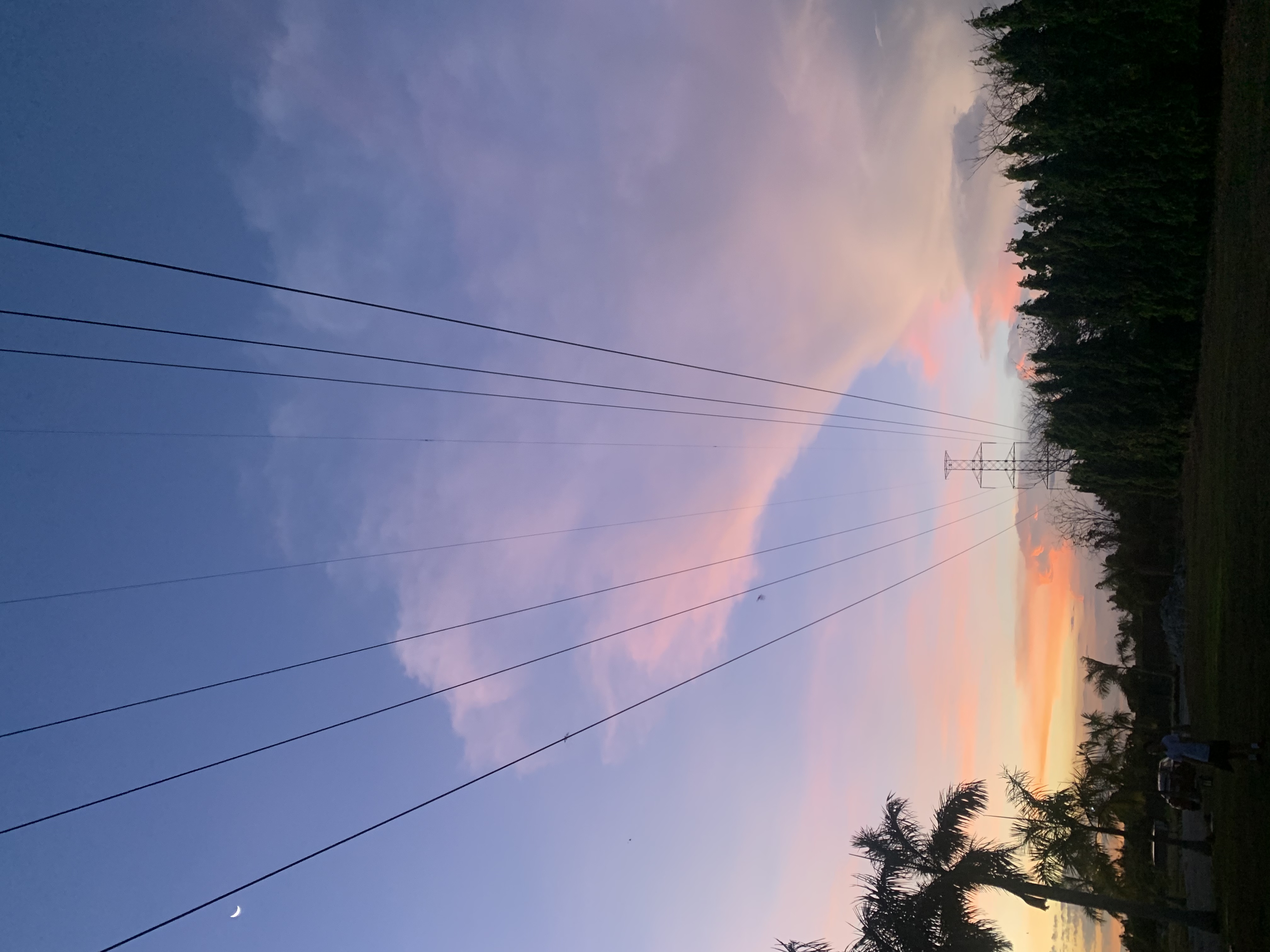 54748AFE-ACEF-41A0-A158-41F8BB19B9F9.jpeg
