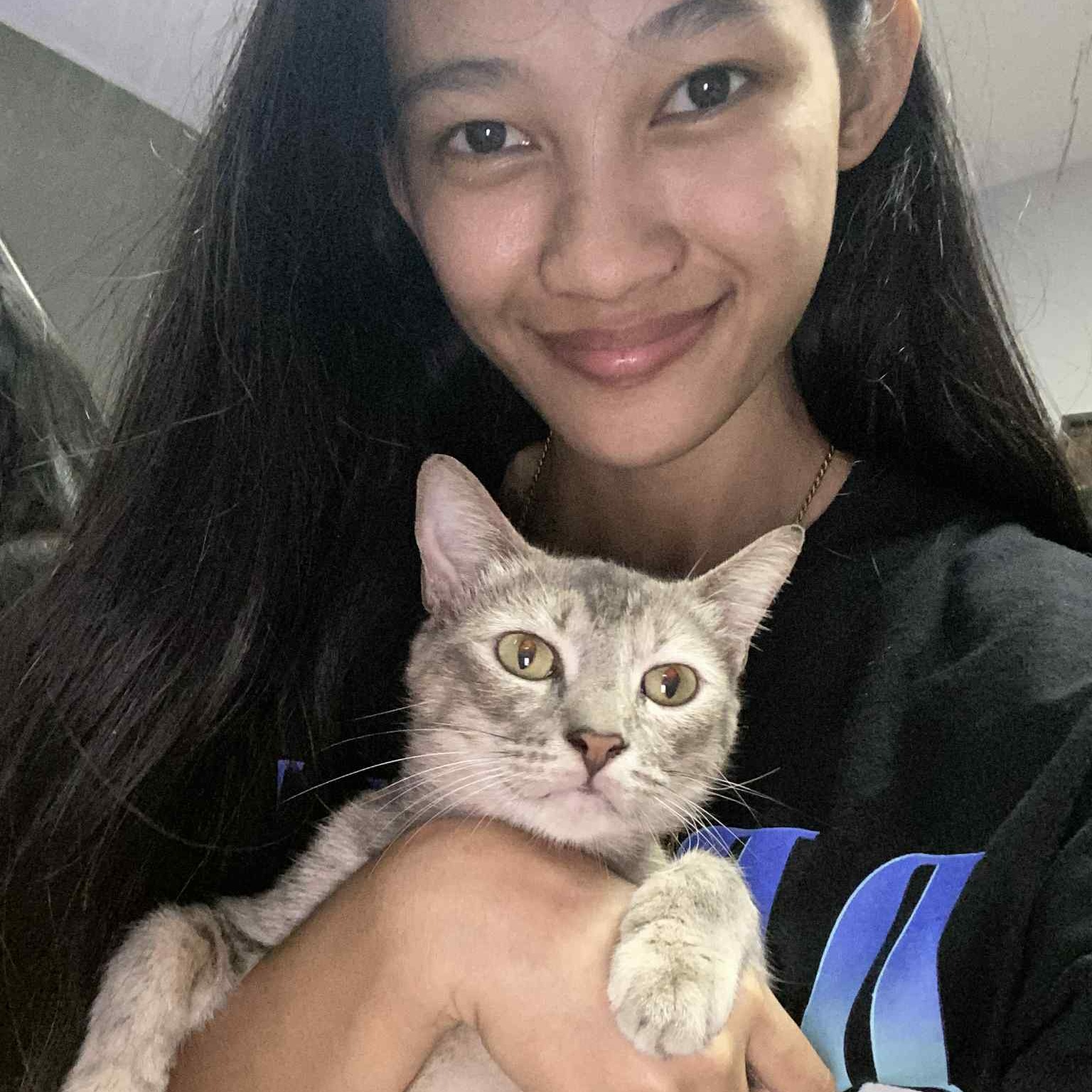 rayover_2025-08-12T20:34:20.948Z