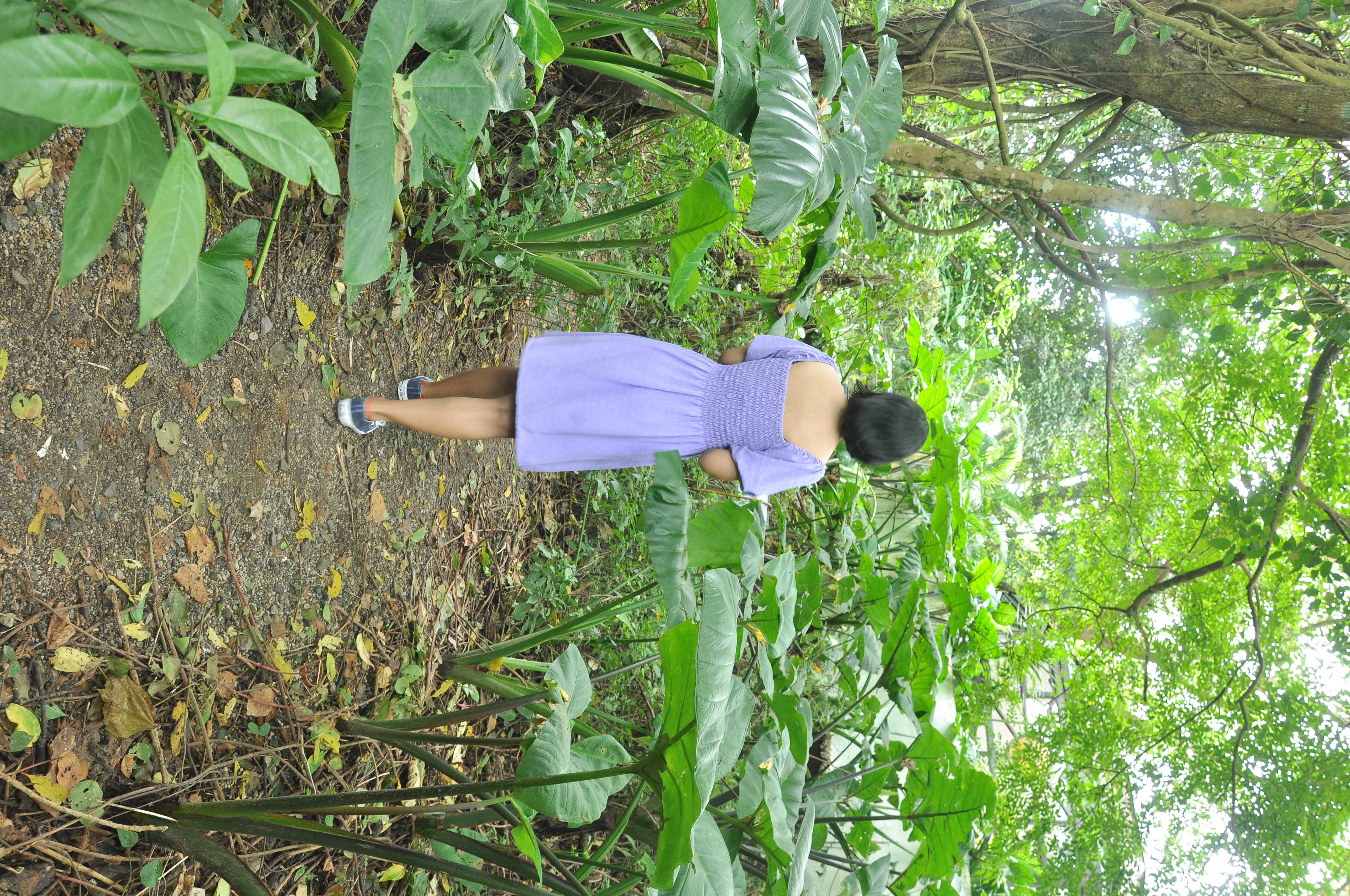 DSC_0514.jpeg