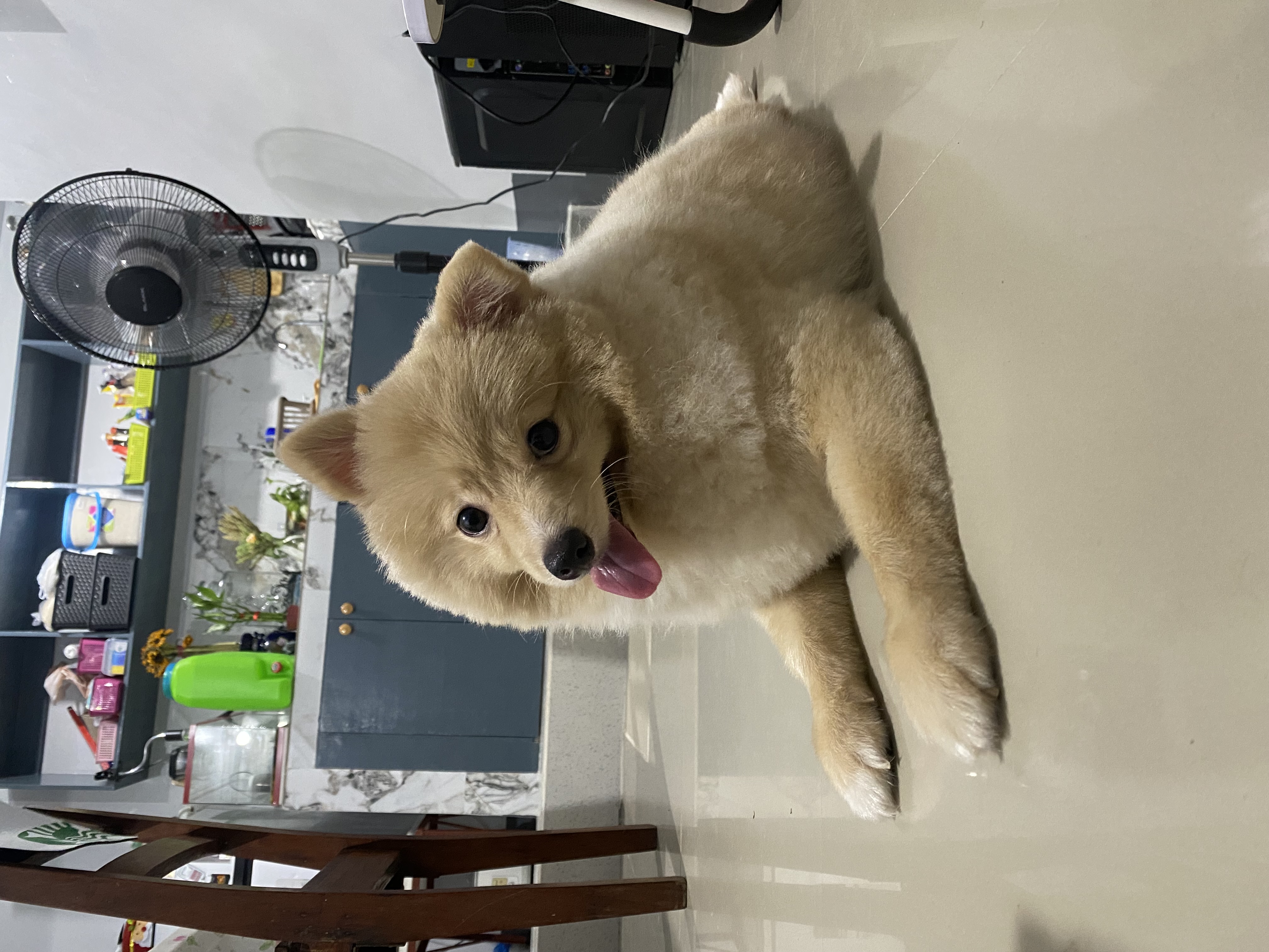 IMG_7050.jpeg