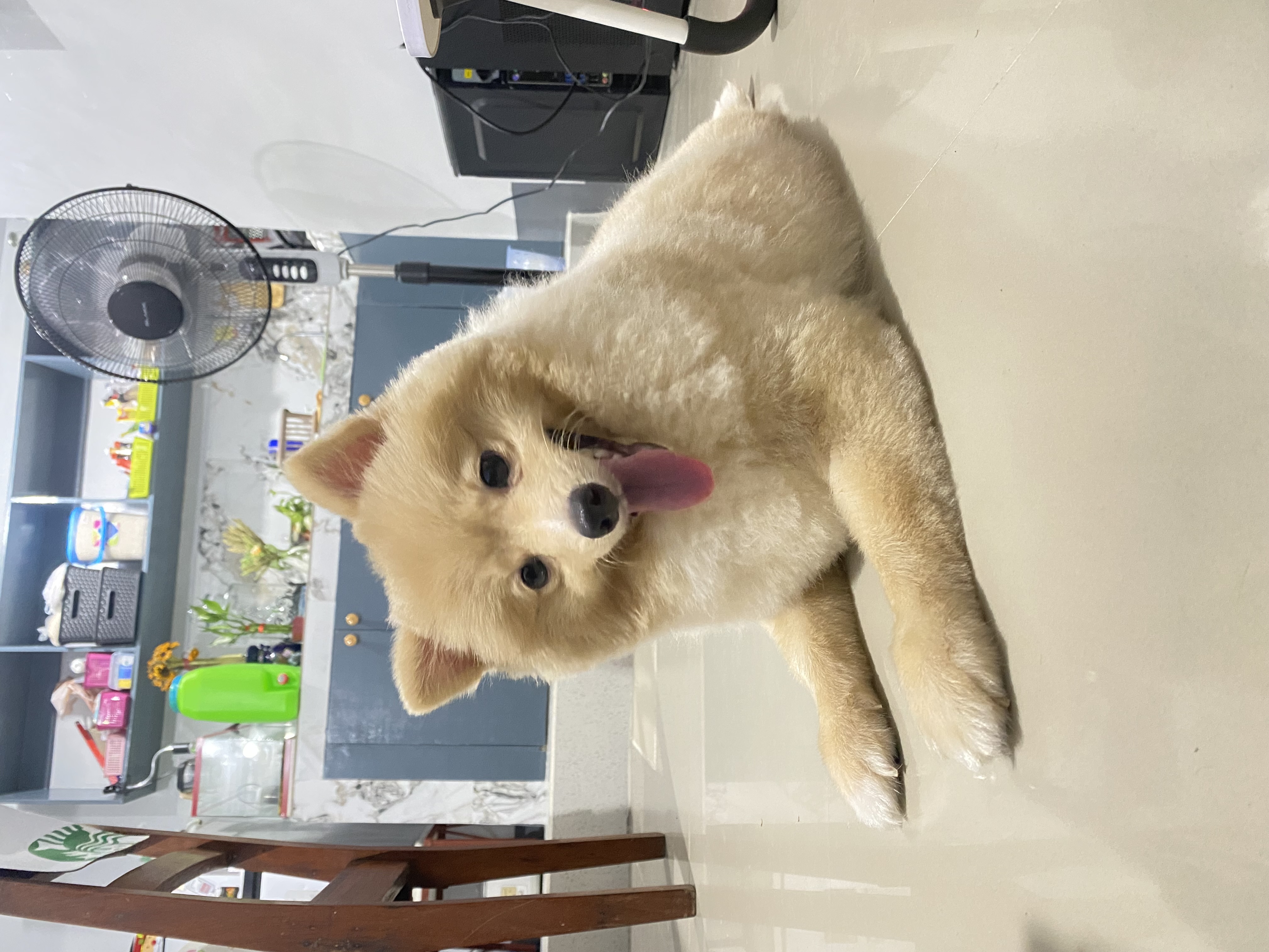 IMG_7053.jpeg