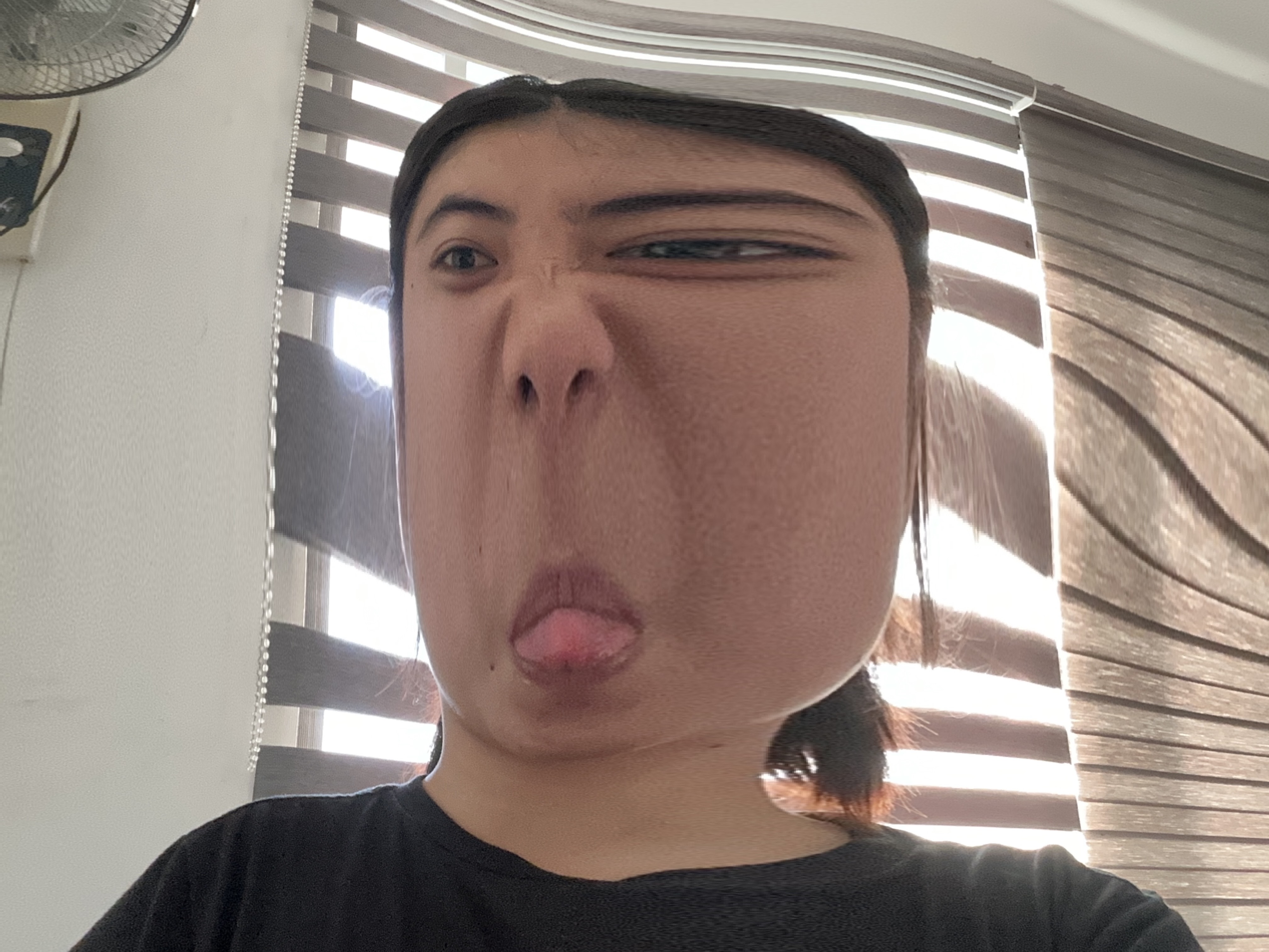 1000023947.jpg