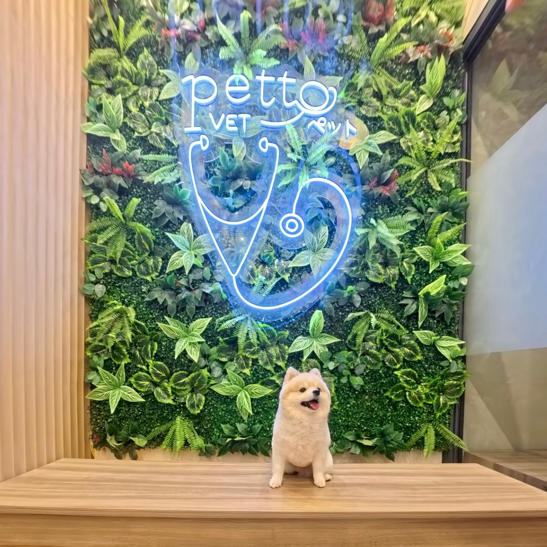 "Does he bite?" "No, but he judges you!" (Facebook Post (Landscape)) (1080 x 1080 px).png