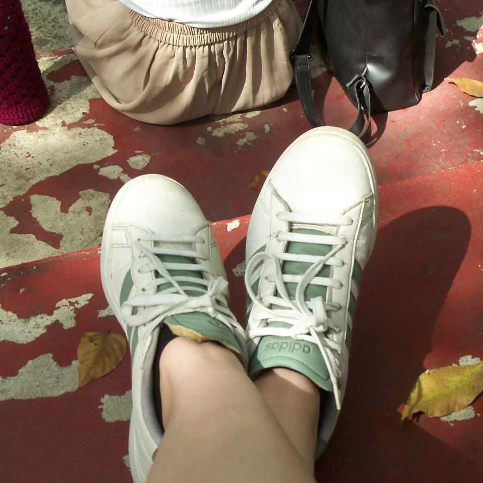 rayover_2025-08-27T12:32:02.921Z