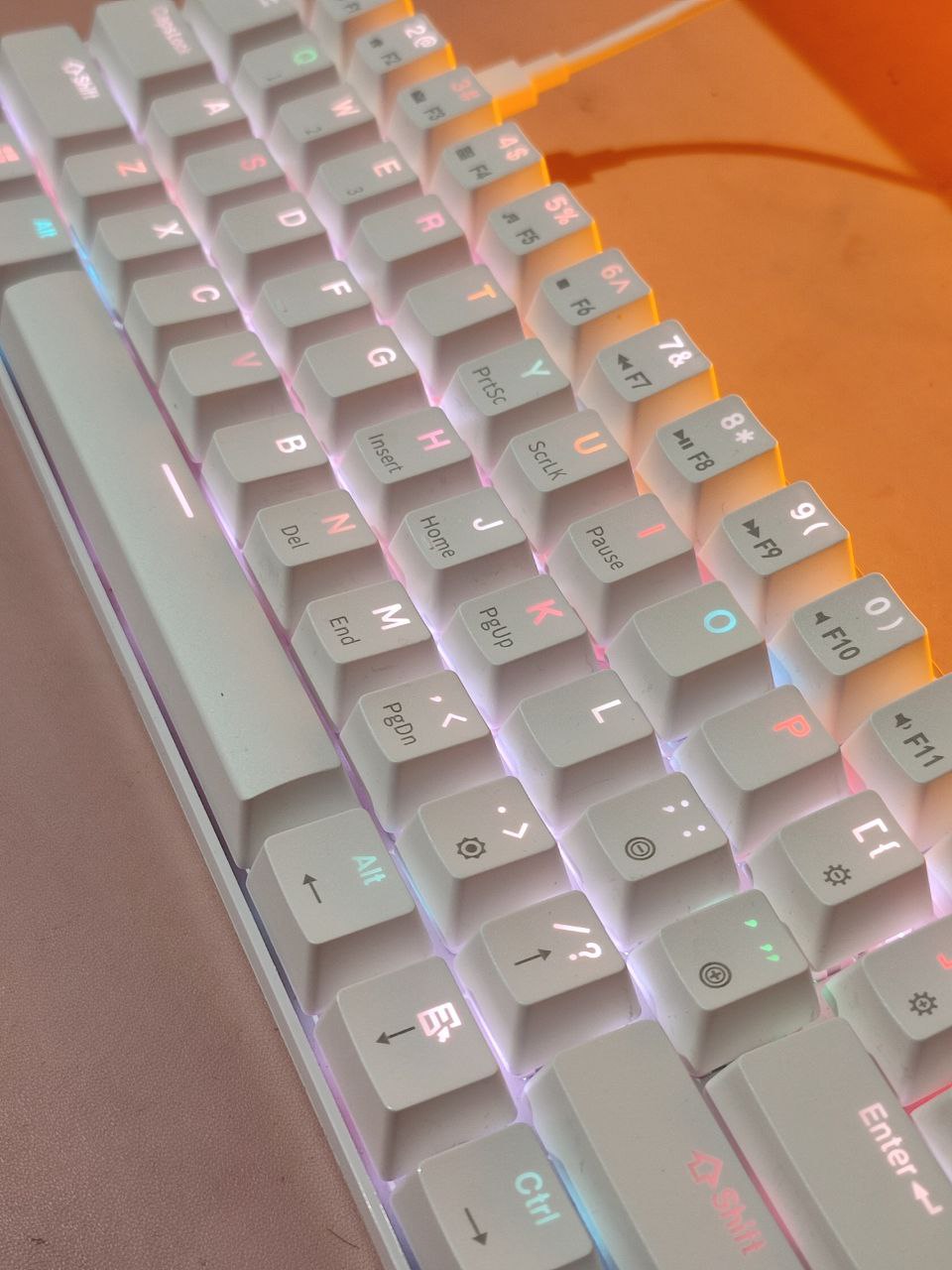 1000093547.jpg