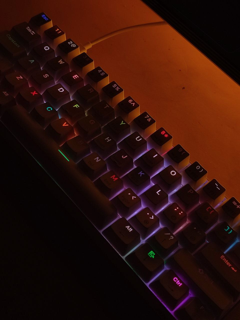 1000093549.jpg