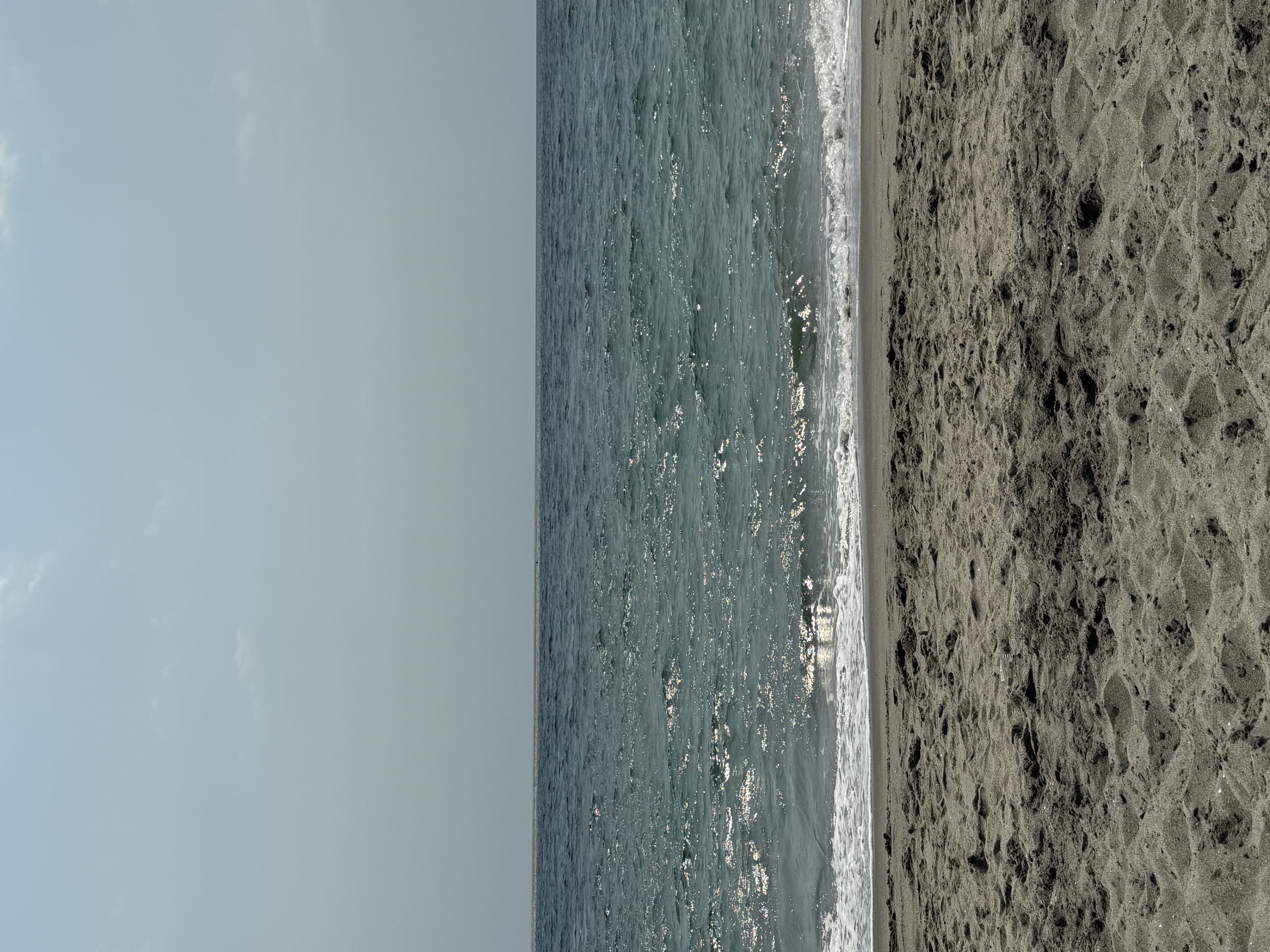 IMG_6575.jpeg
