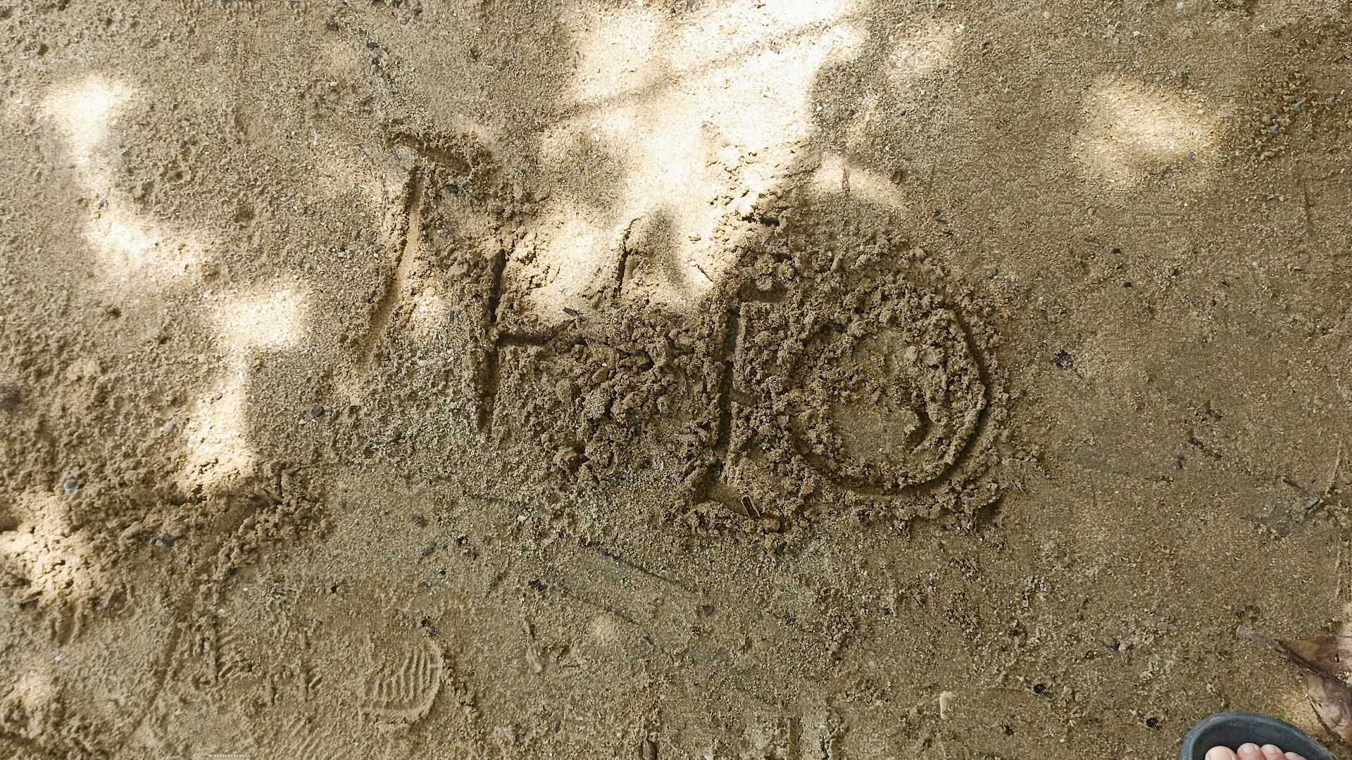 1000023885.jpg