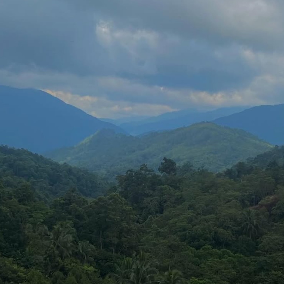 rayover_2025-09-16T07:33:54.589Z