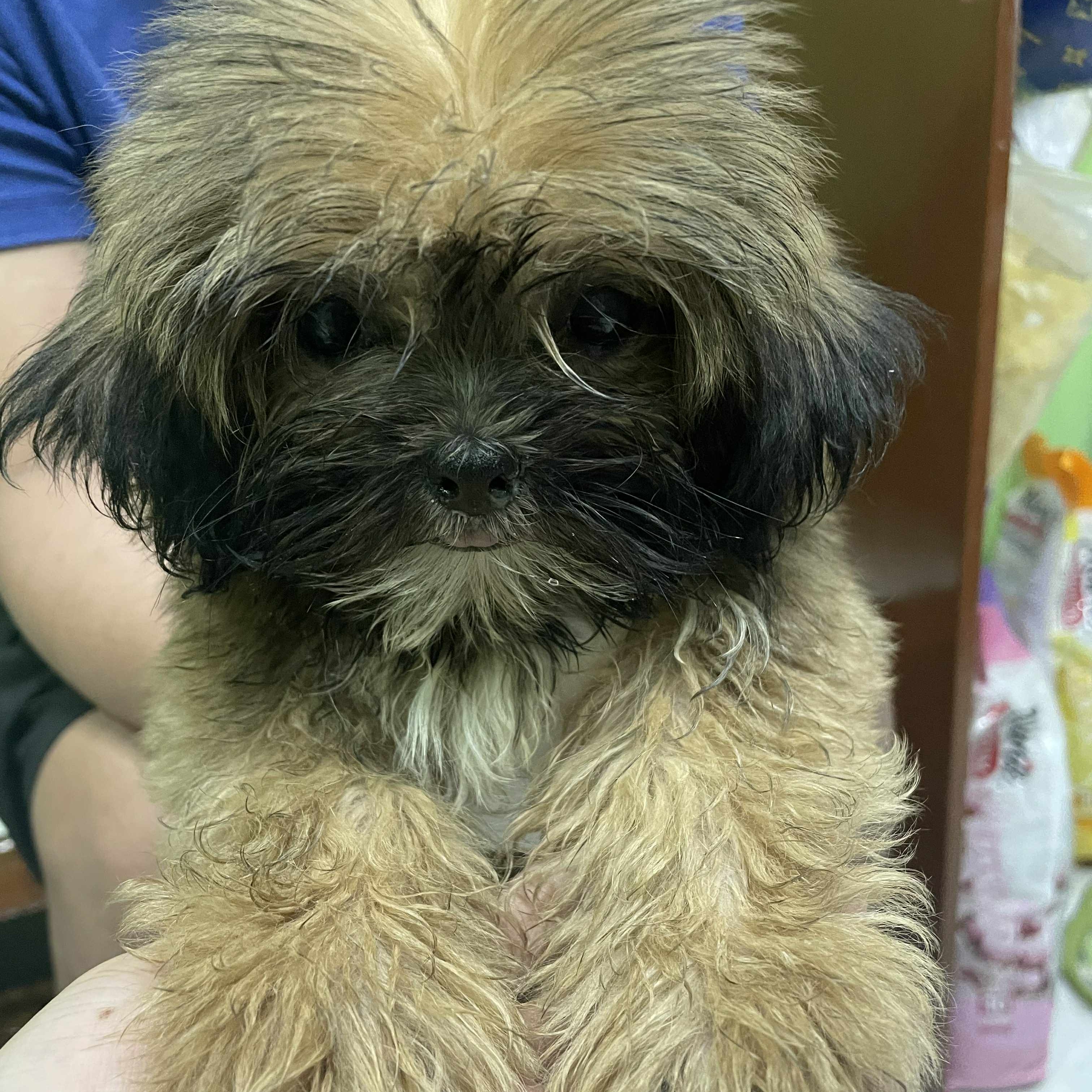 rayover_2025-09-16T17:13:16.100Z