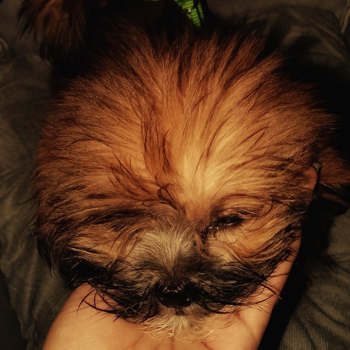 rayover_2025-09-16T17:13:23.328Z