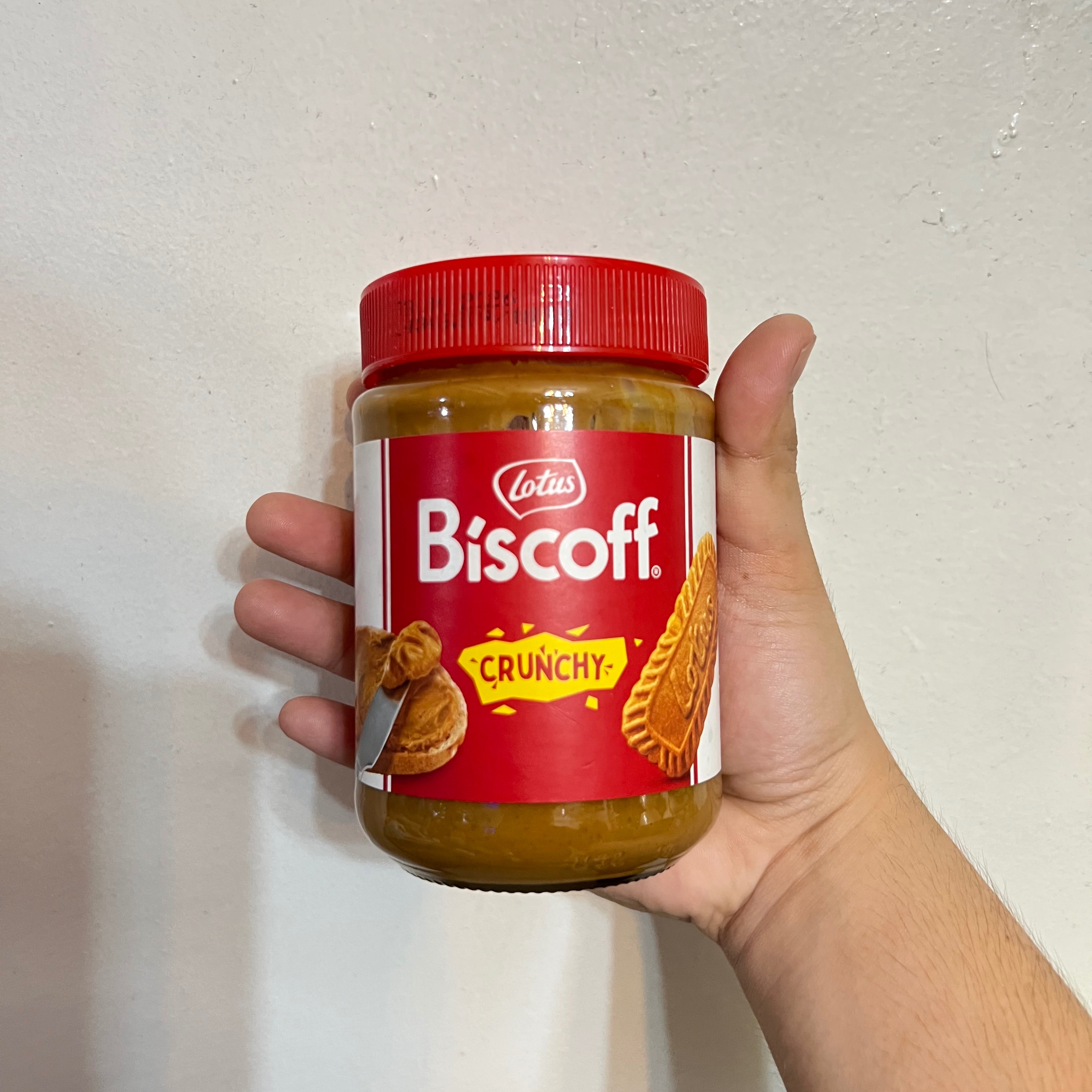 rayover_2025-09-17T11:55:54.607Z