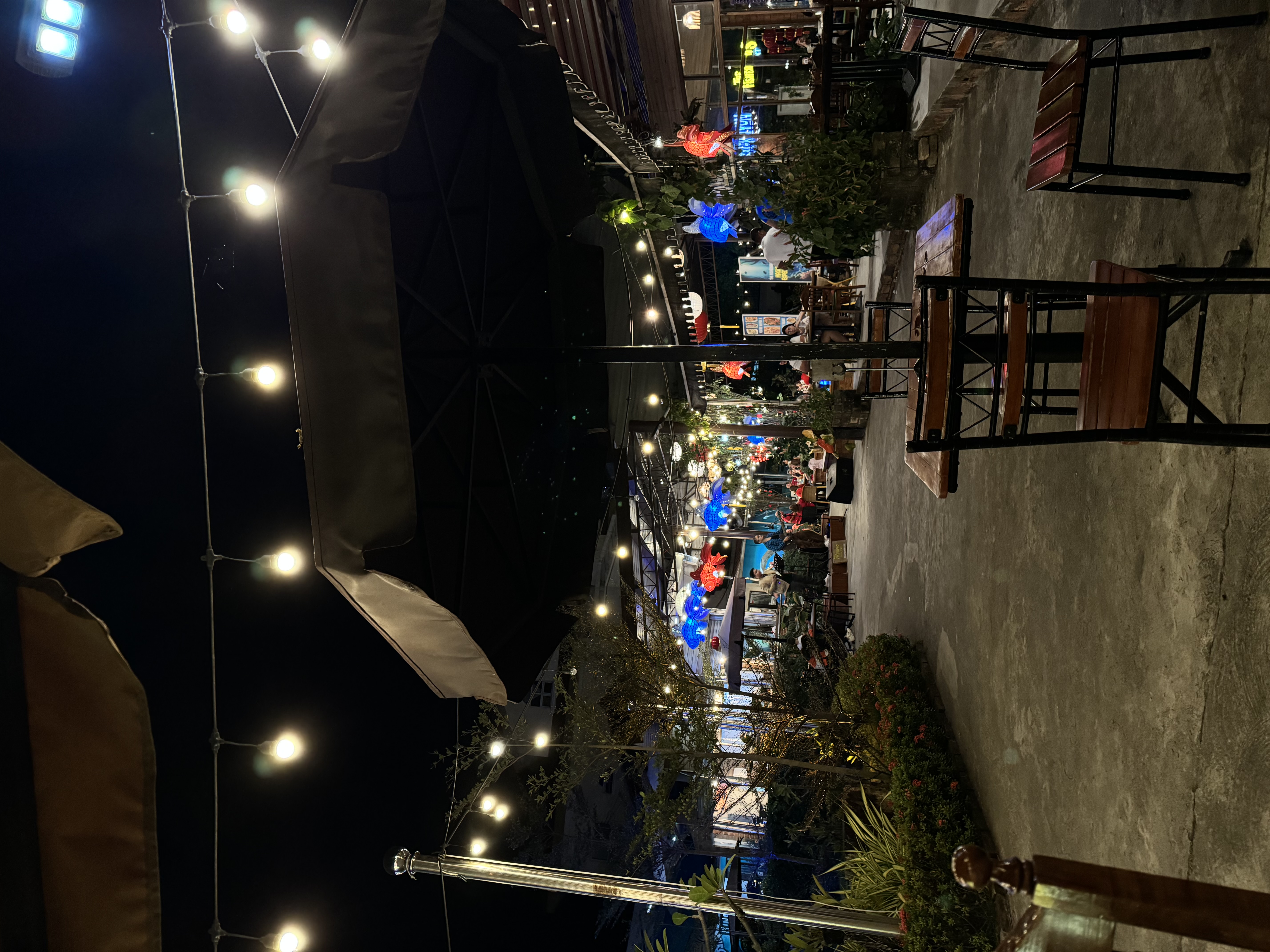 IMG_4437.jpeg