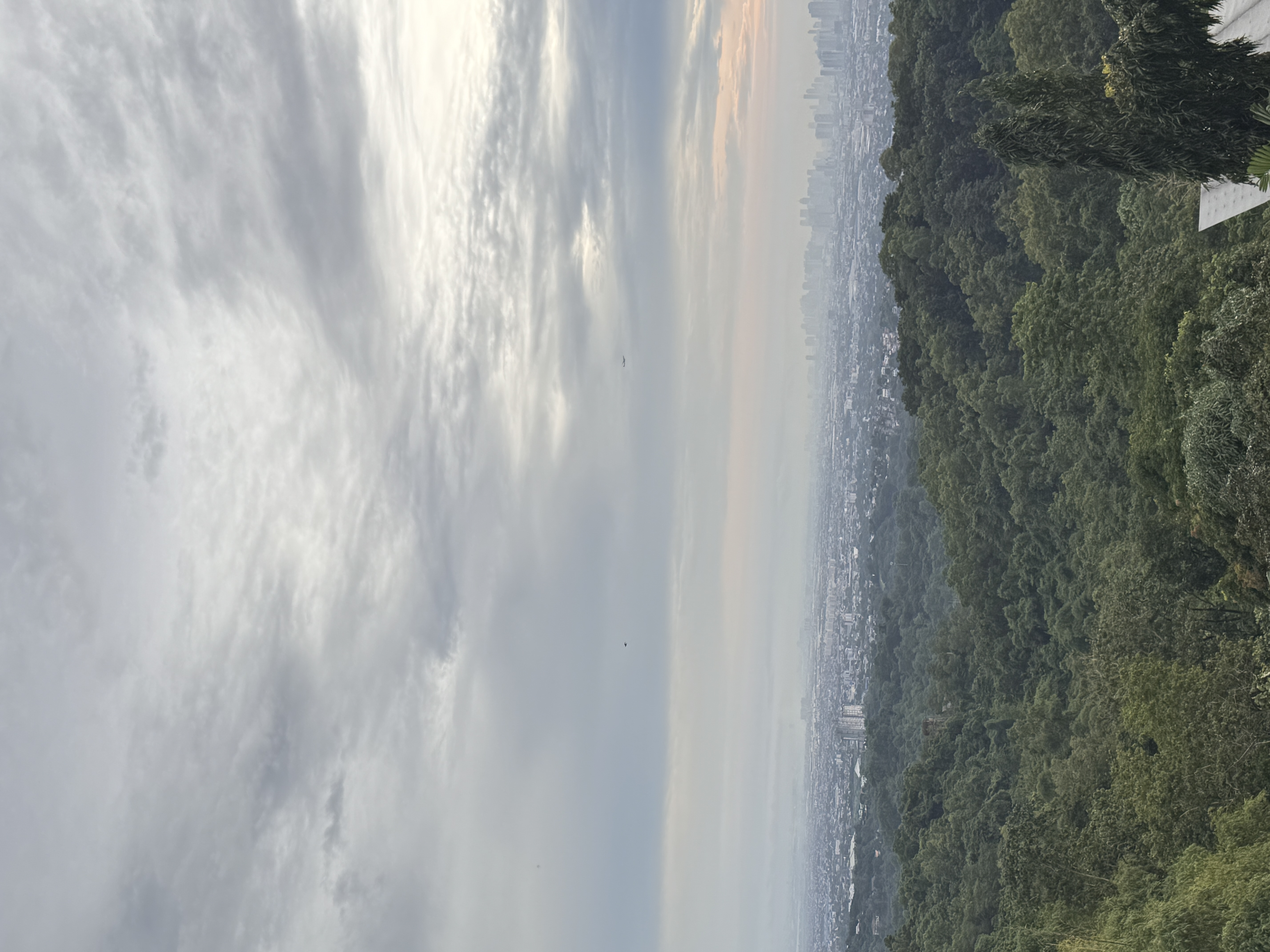 IMG_8724.jpeg