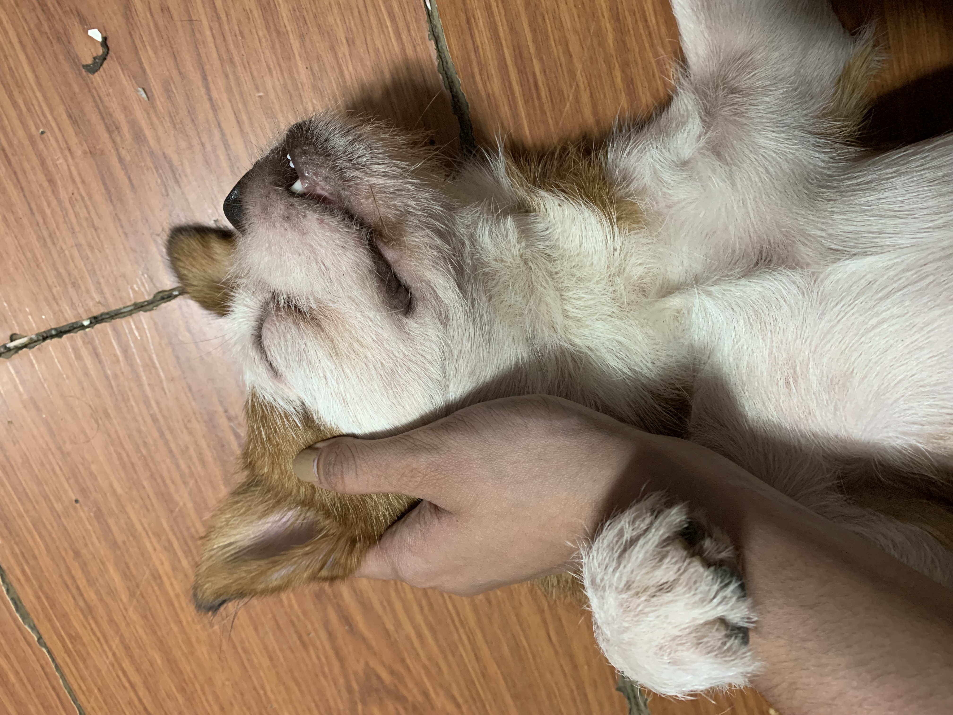 IMG_1126.jpeg