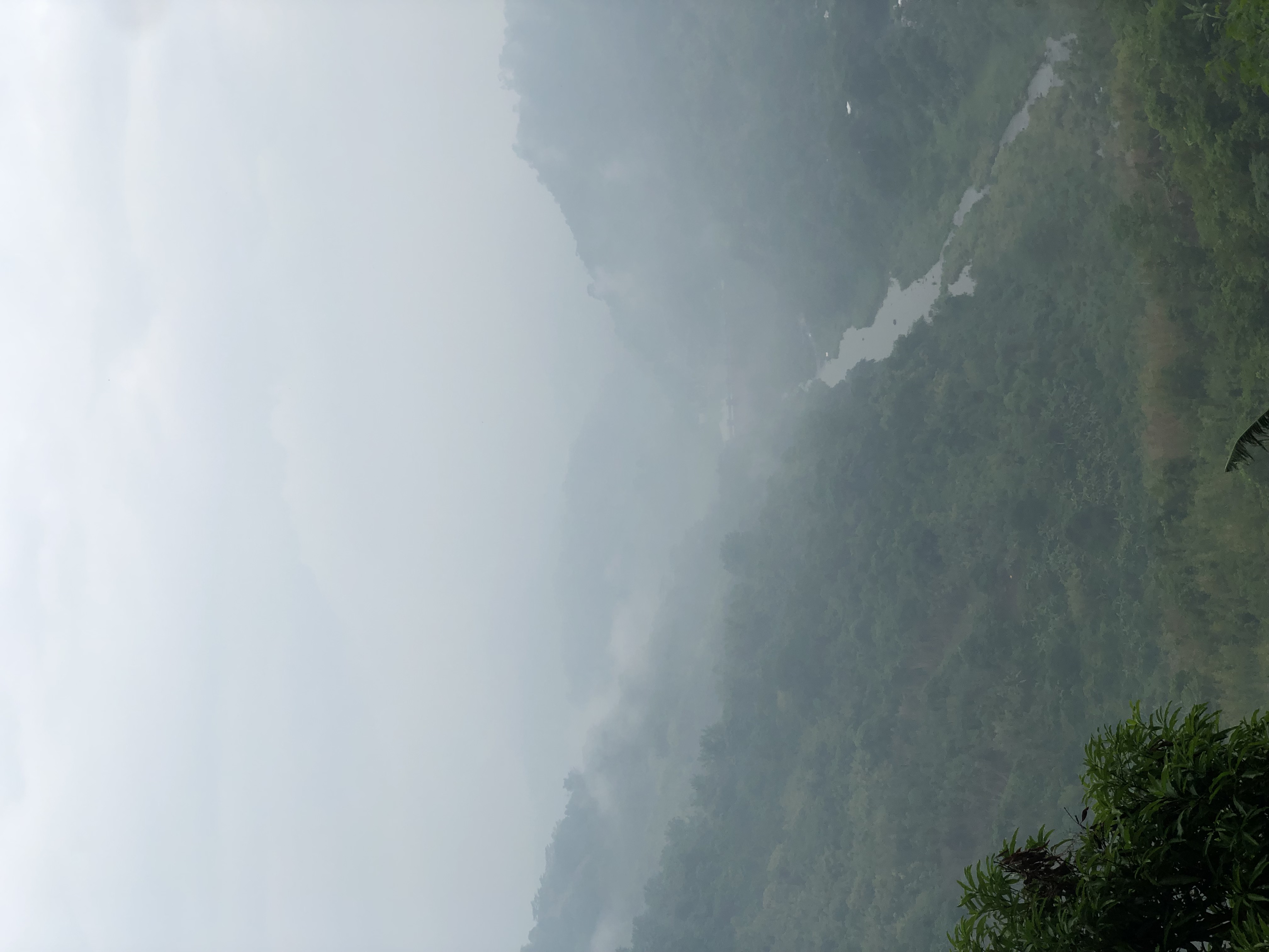 IMG_0867.jpeg