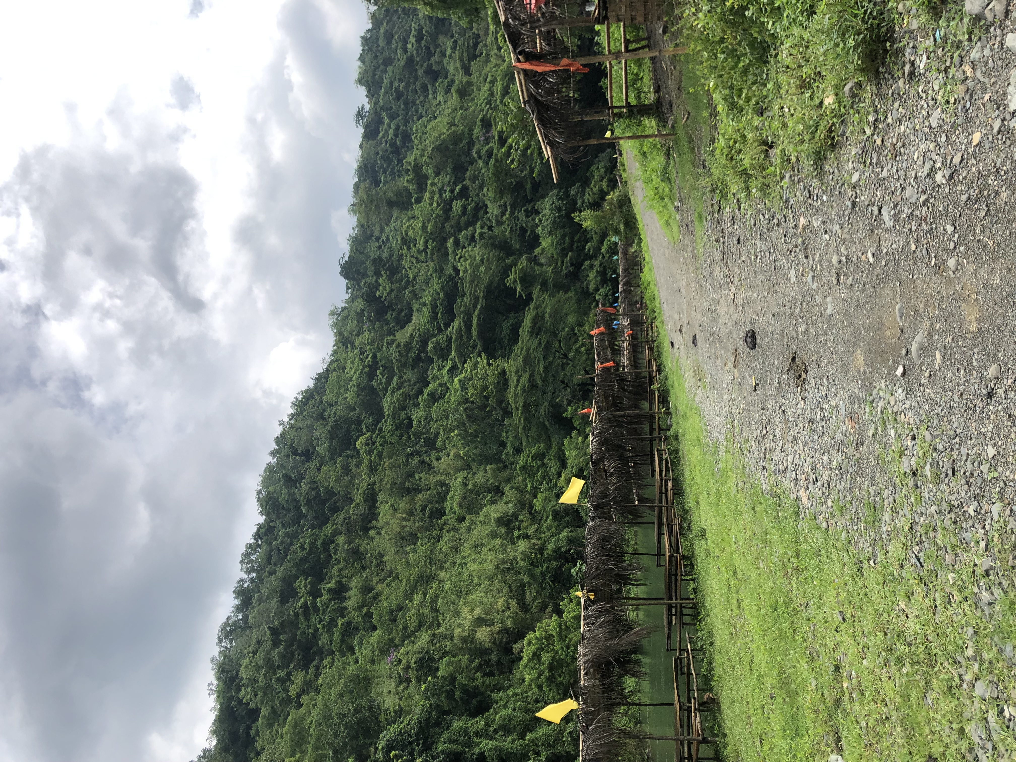 IMG_1551.jpeg