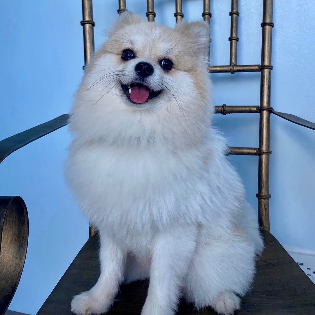 rayover_2025-09-25T06:50:29.227Z