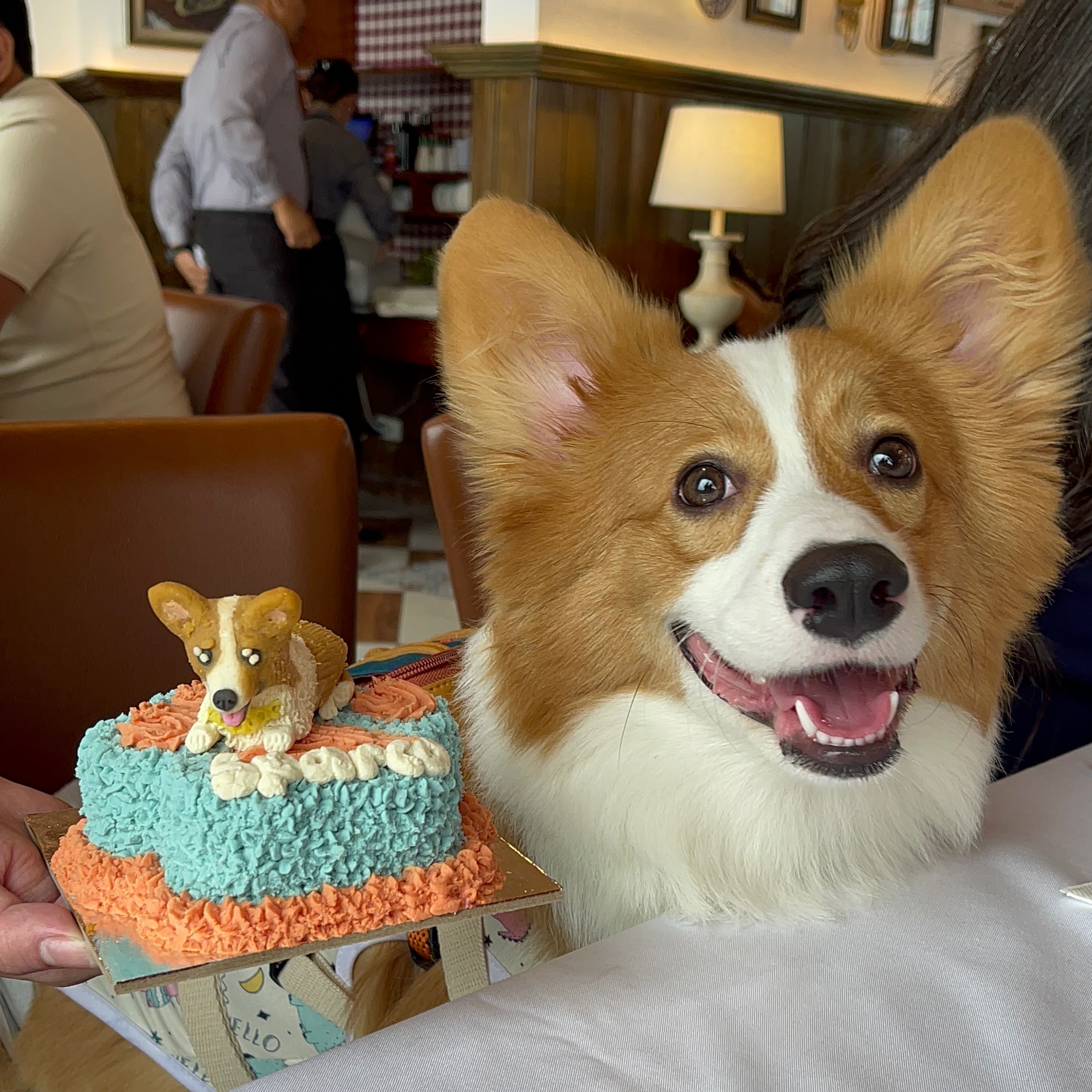 rayover_2025-09-25T14:23:11.966Z