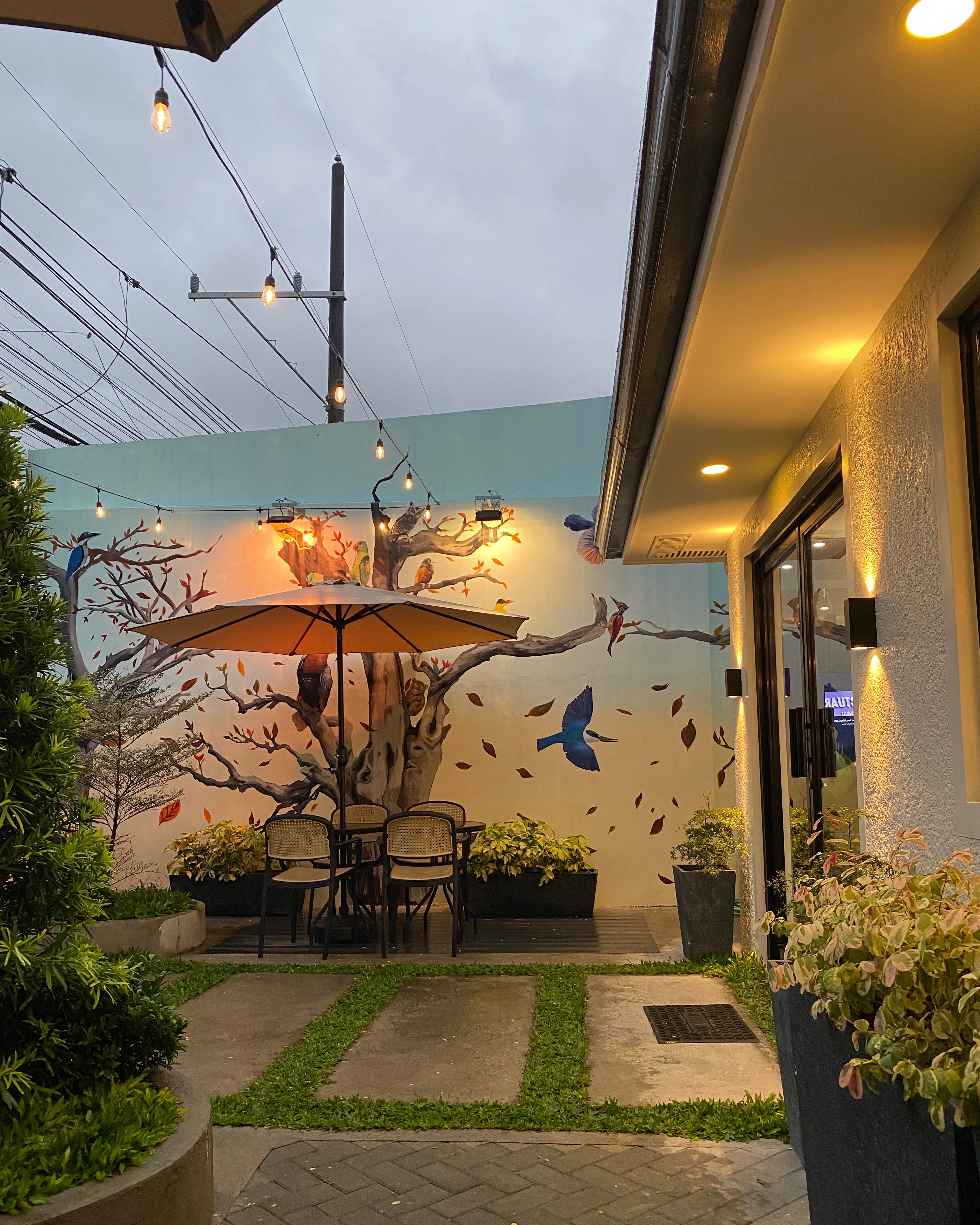 rayover_2025-09-26T04:38:09.253Z