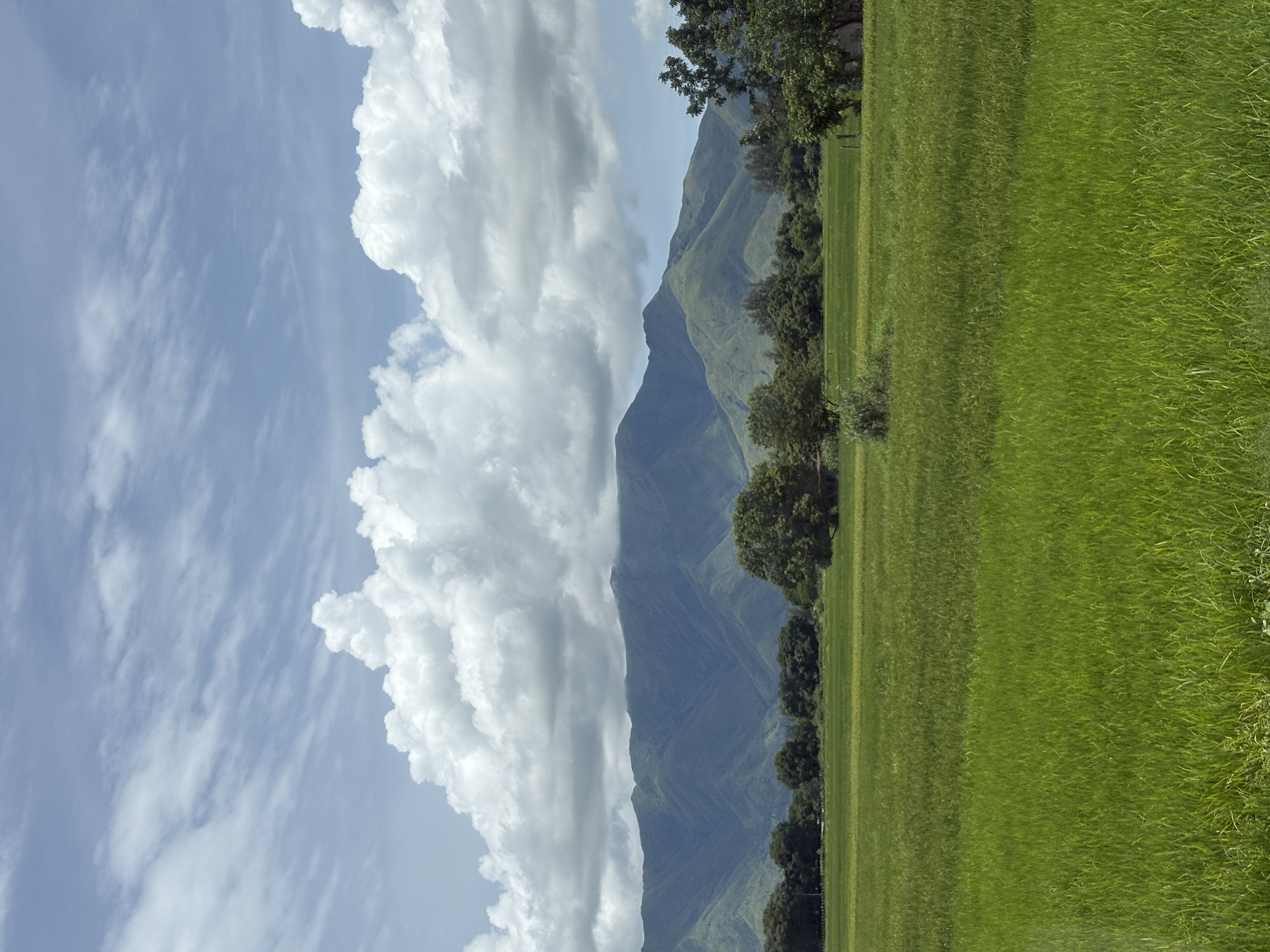 IMG_7564.jpeg