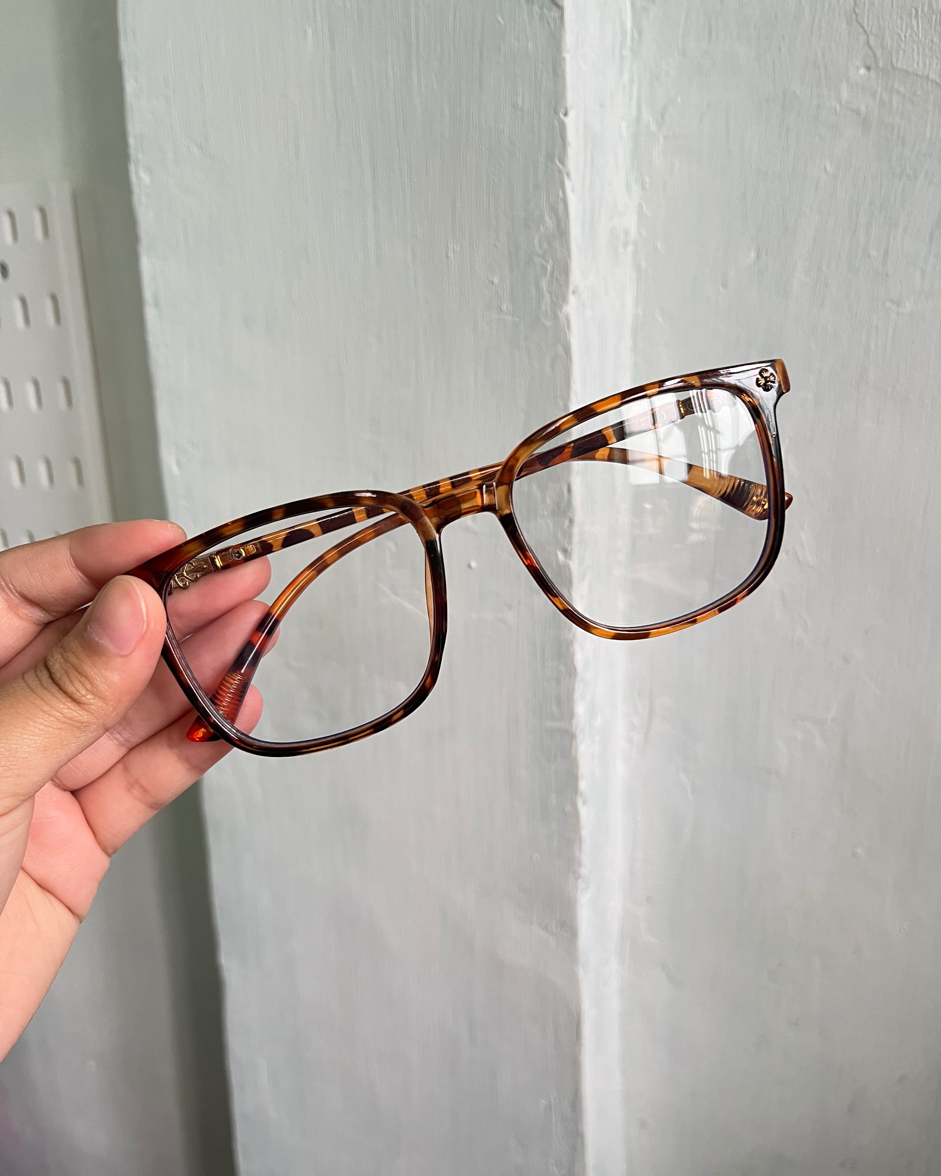 rayover_2025-09-29T05:52:25.778Z