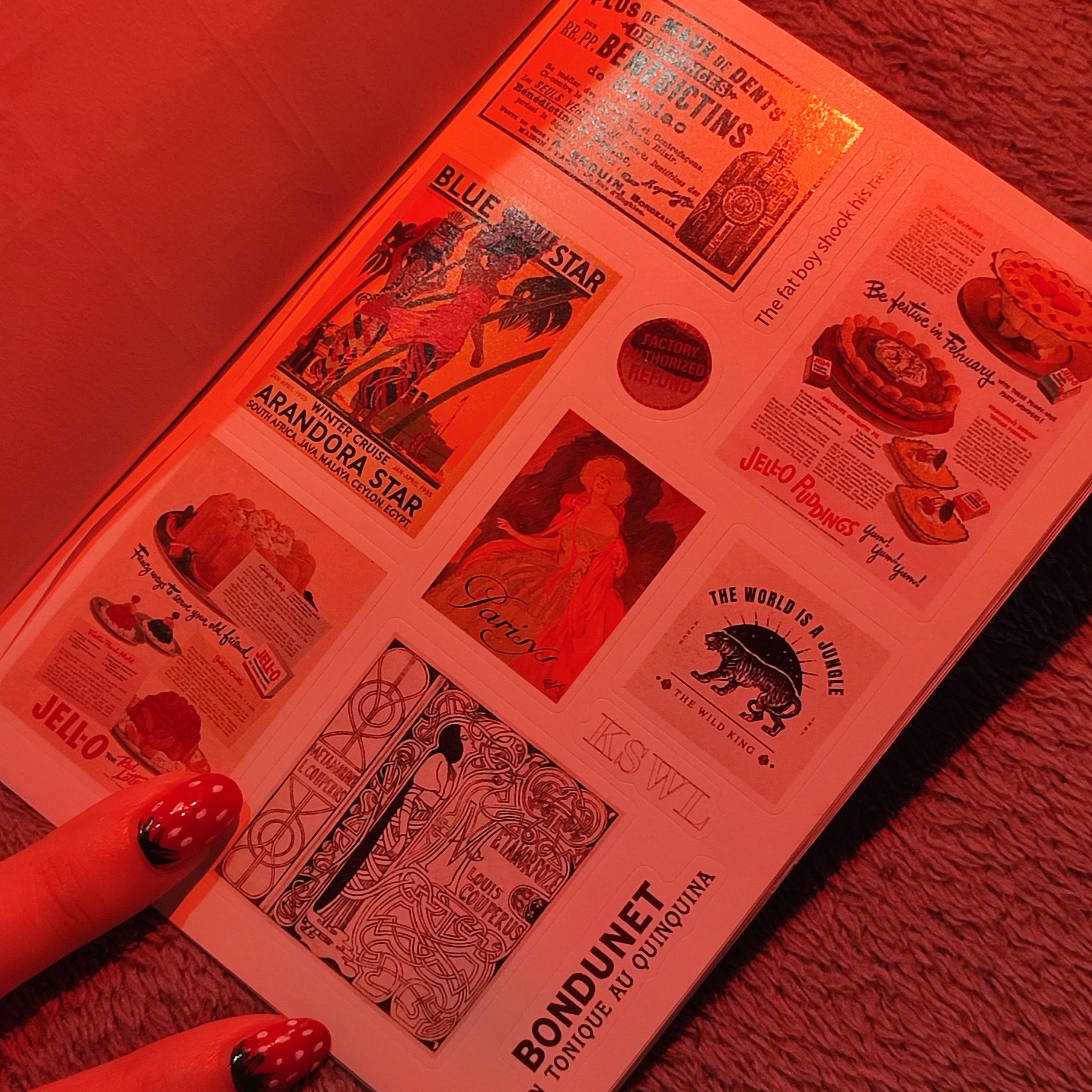 rayover_2025-09-30T02:07:41.189Z