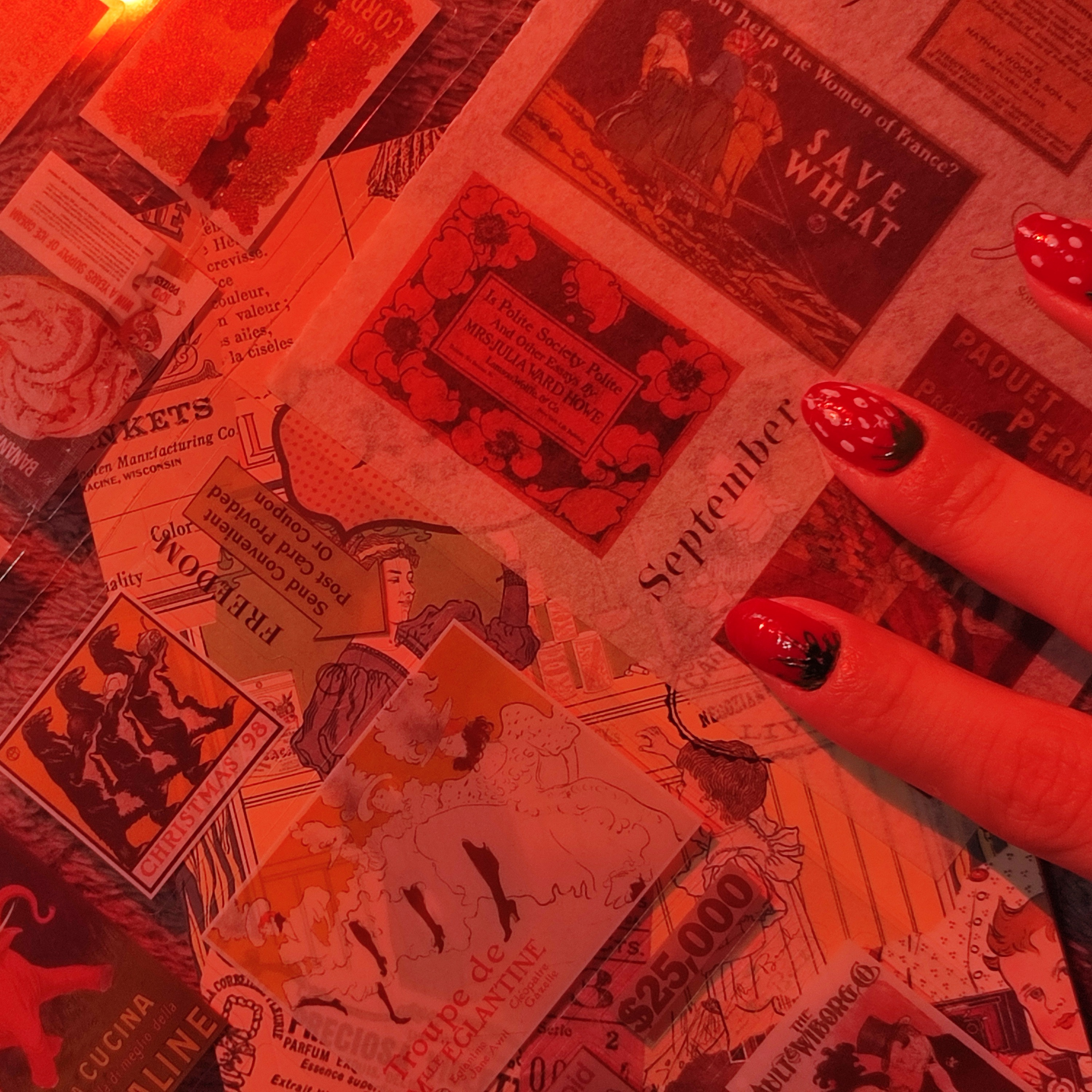 rayover_2025-09-30T02:08:00.491Z