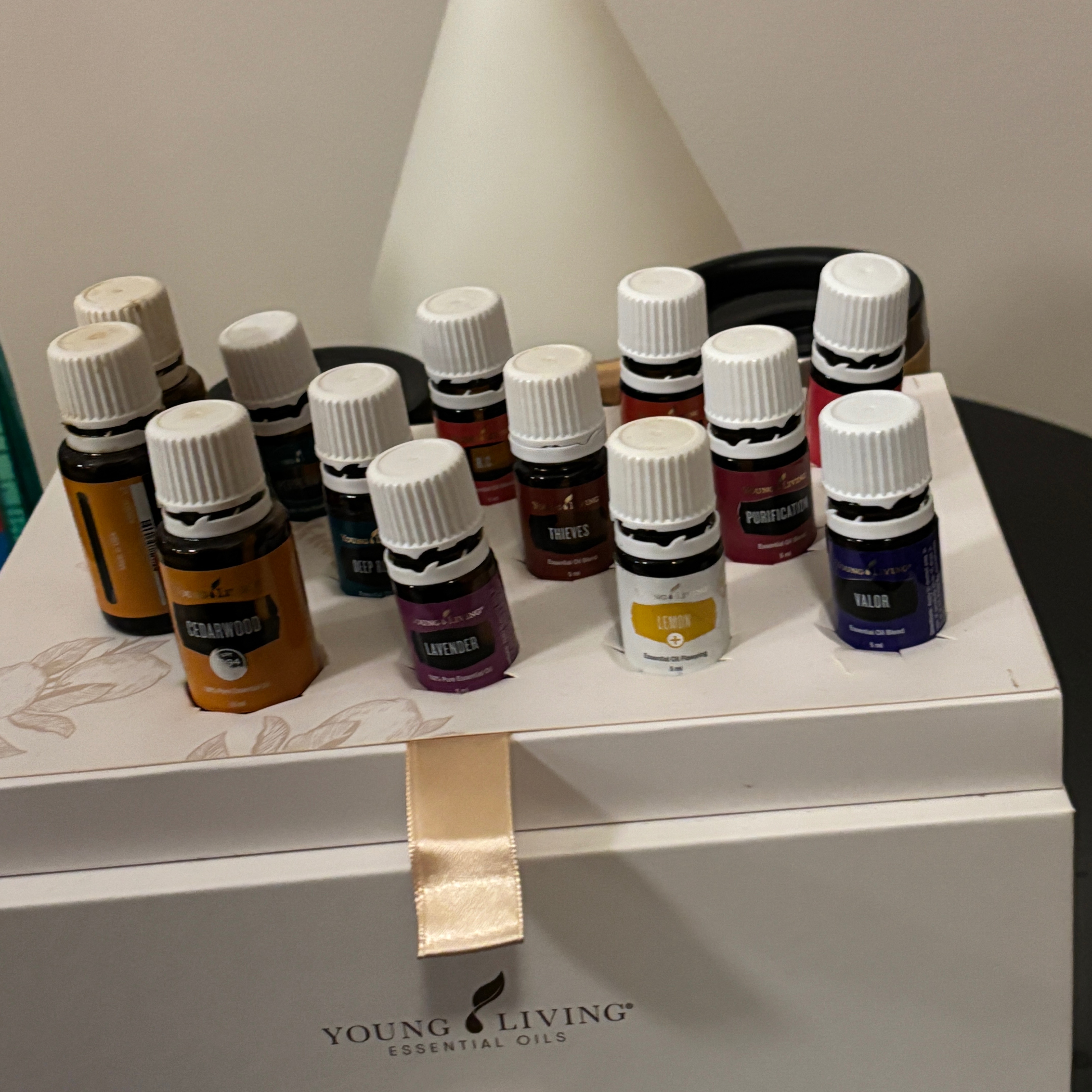 rayover_2025-09-30T10:01:37.817Z