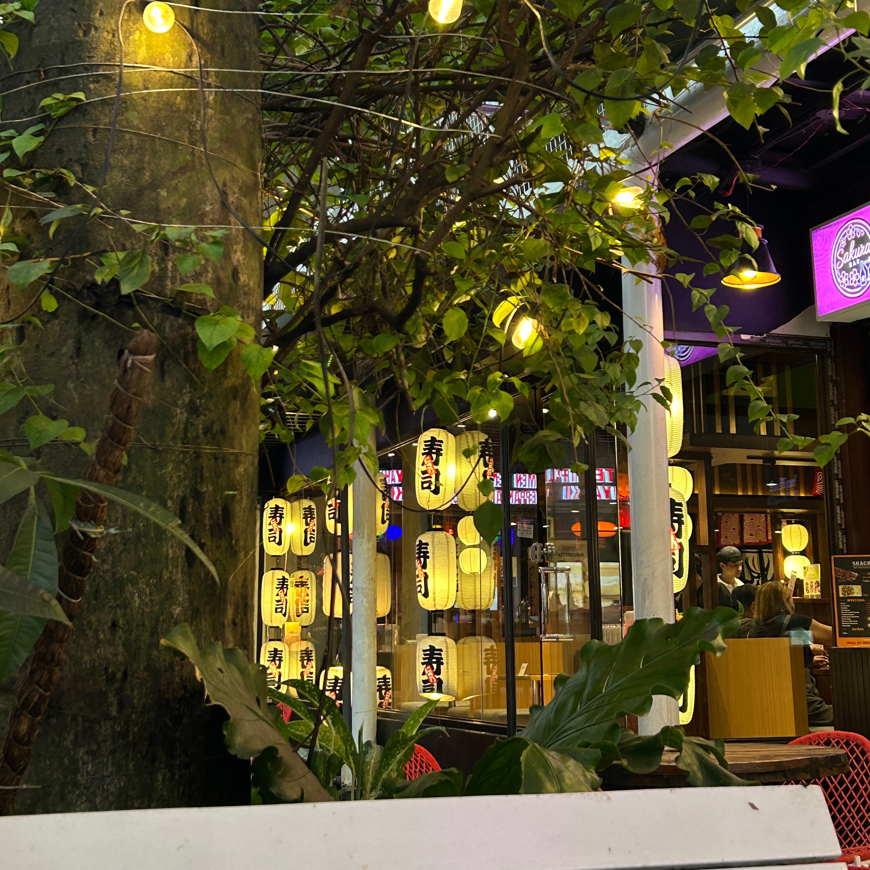 rayover_2025-10-20T09:21:21.040Z