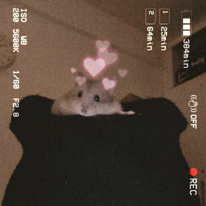 rayover_2025-10-20T12:23:33.932Z